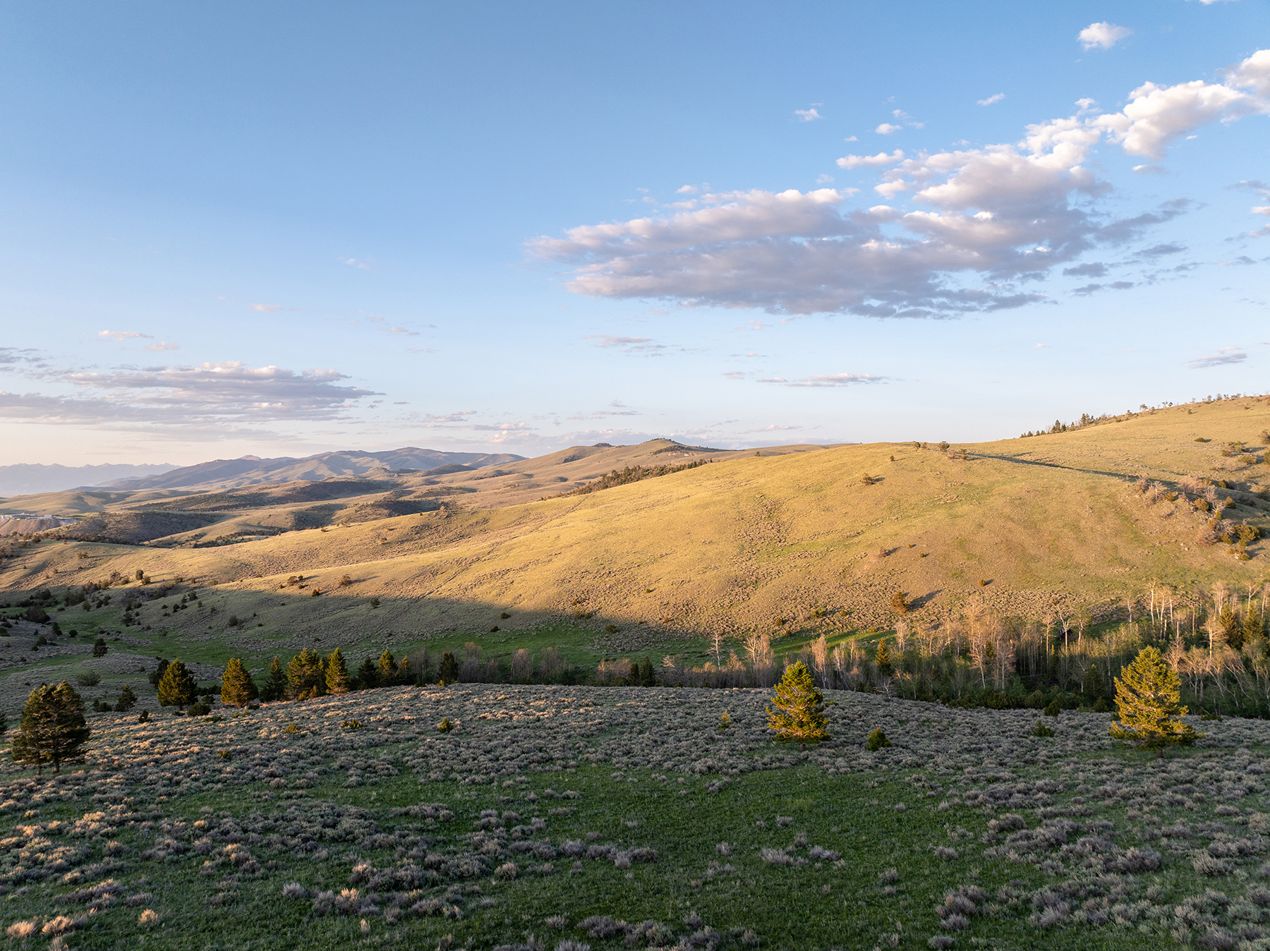 Carter Creek Ranch property picture 41 of 53