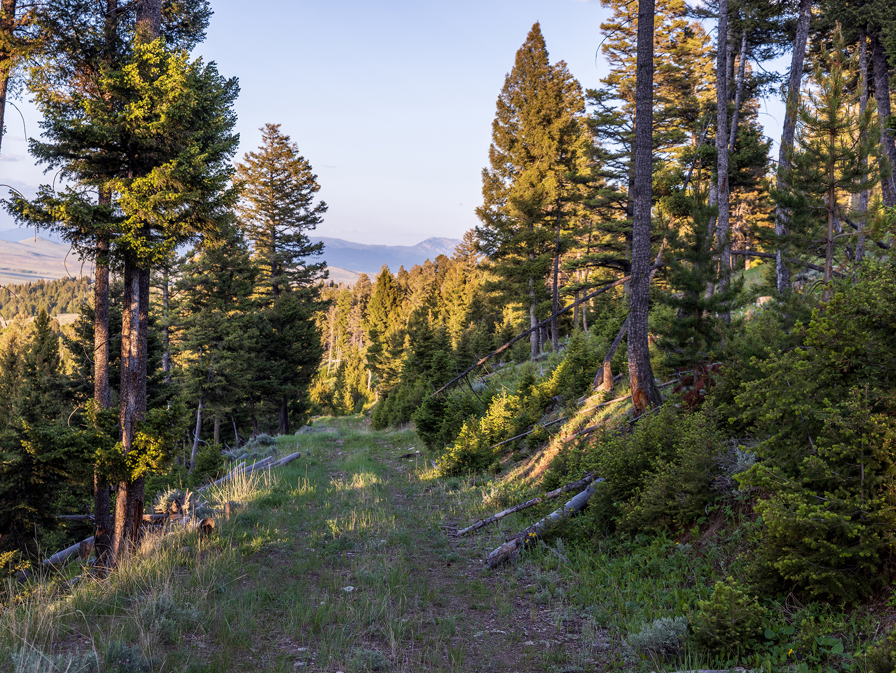 Carter Creek Ranch property picture 12 of 53