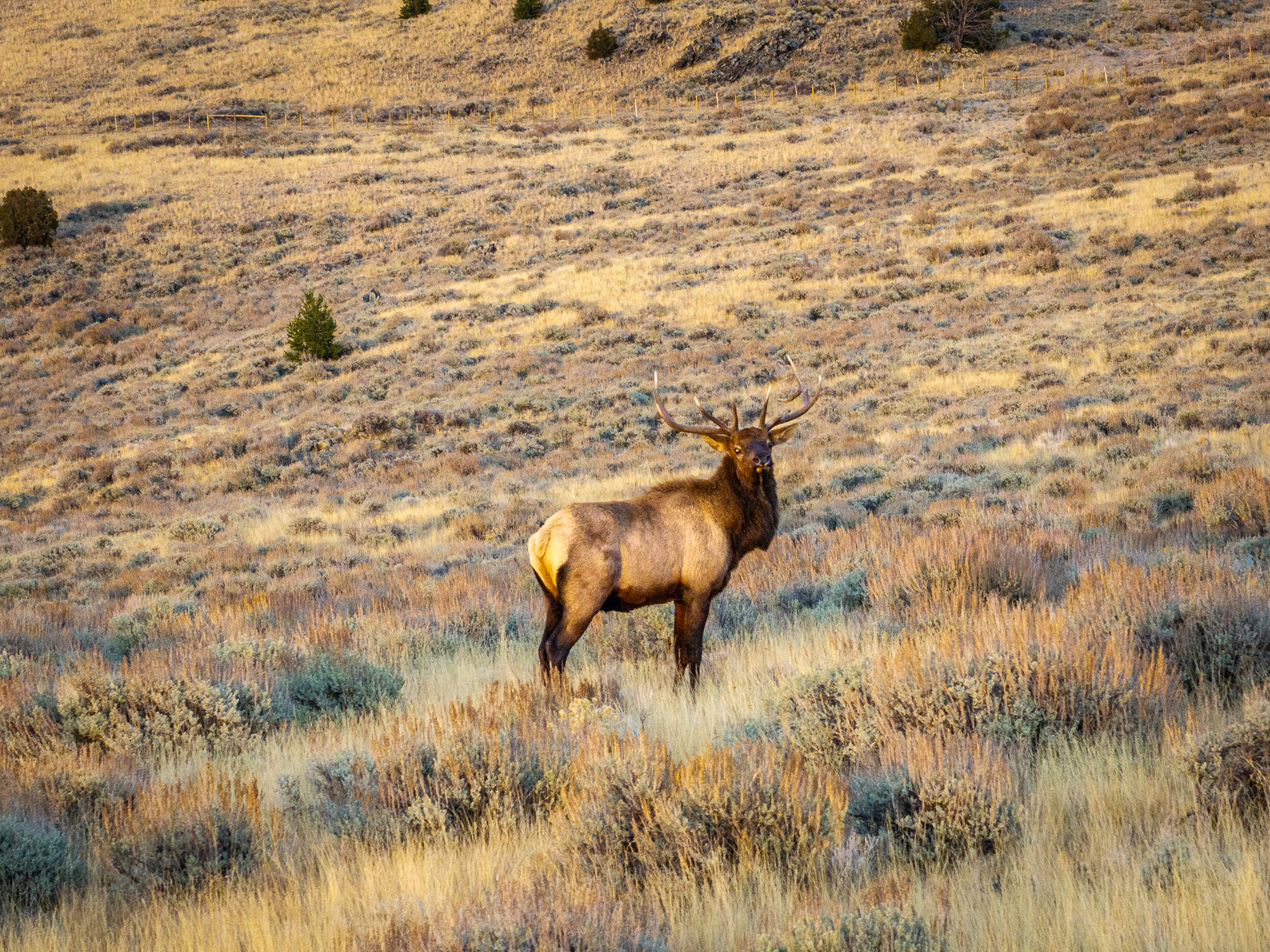 Carter Creek Ranch property picture 27 of 53