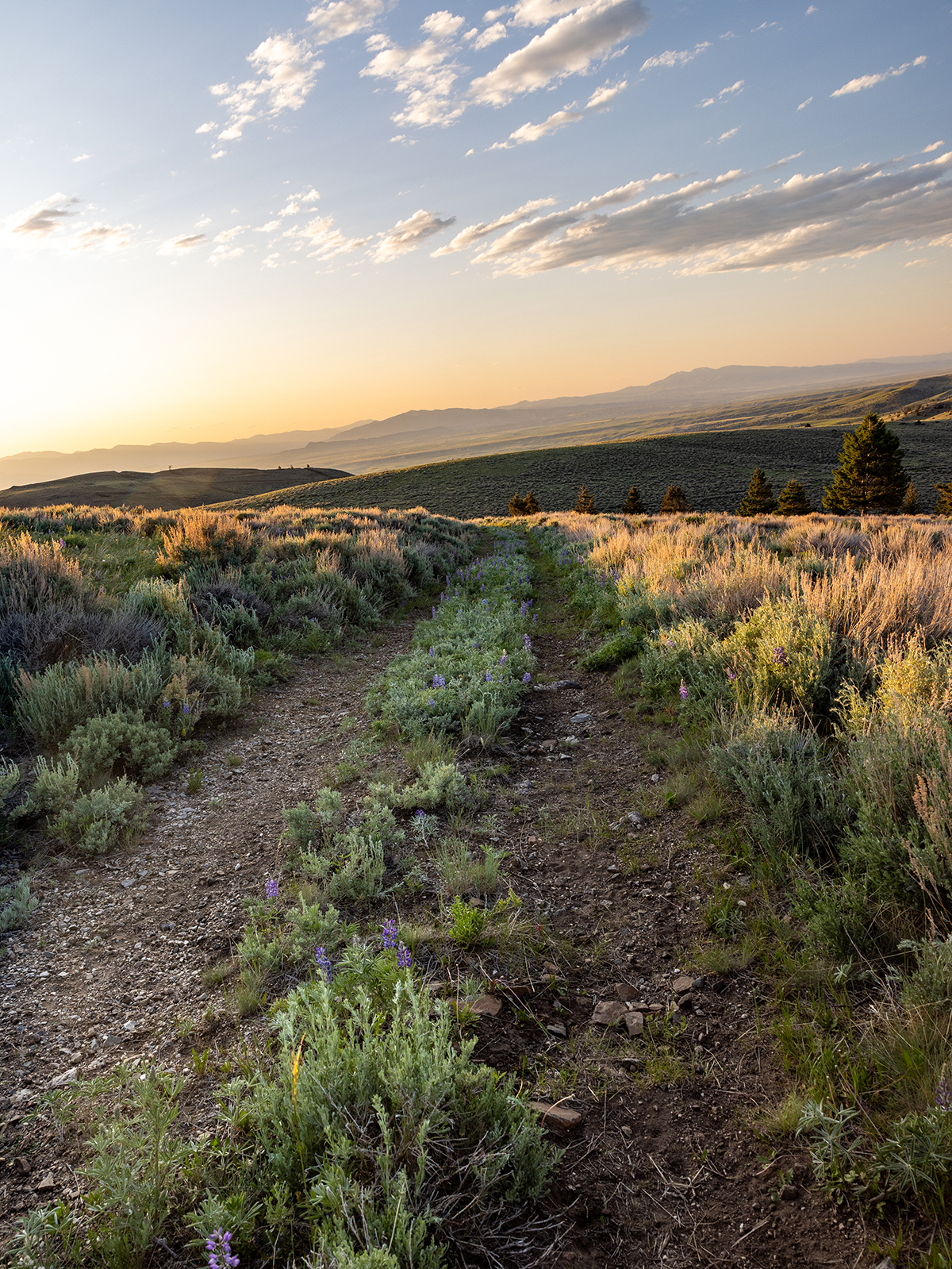 Carter Creek Ranch property picture 22 of 53