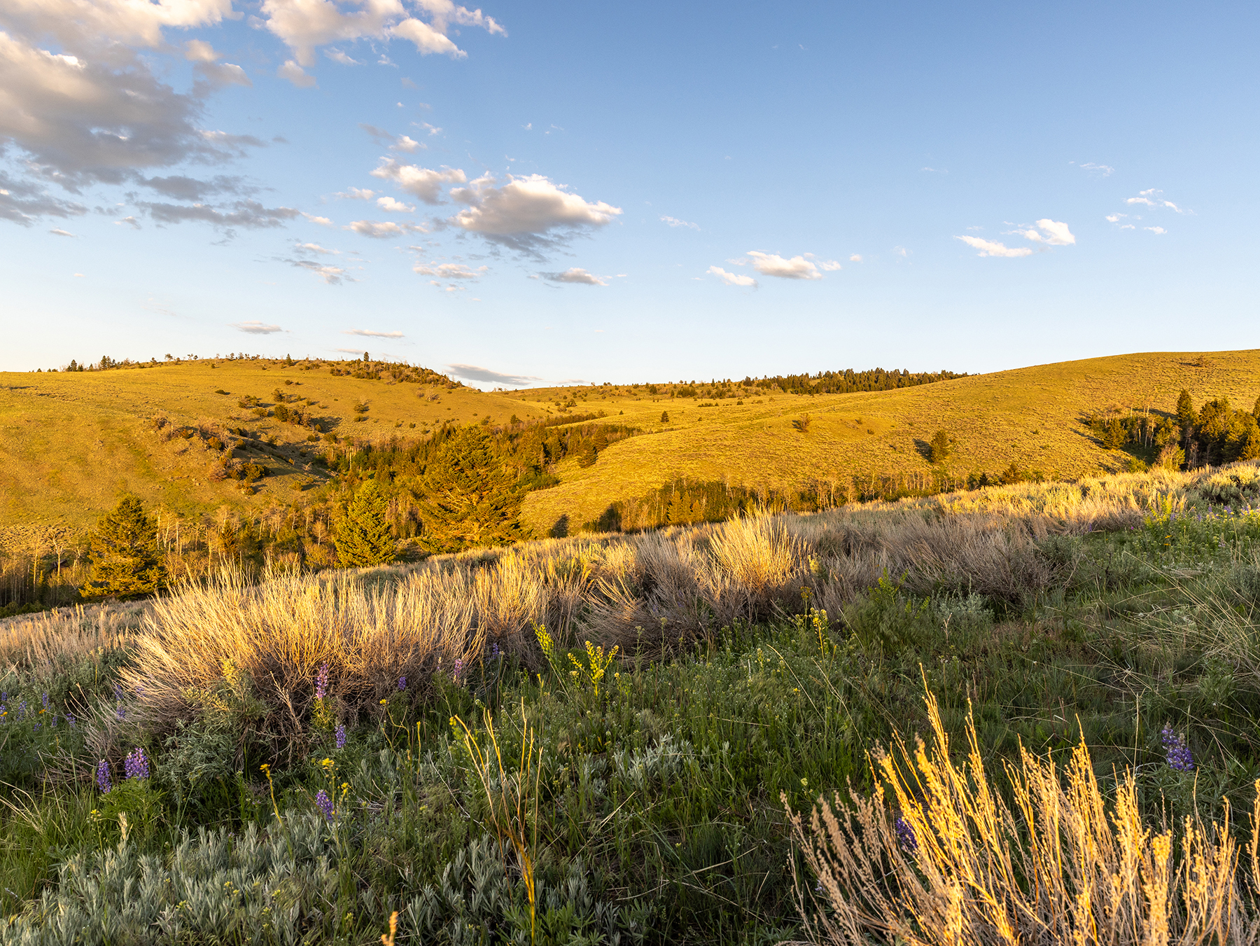 Carter Creek Ranch property picture 21 of 53