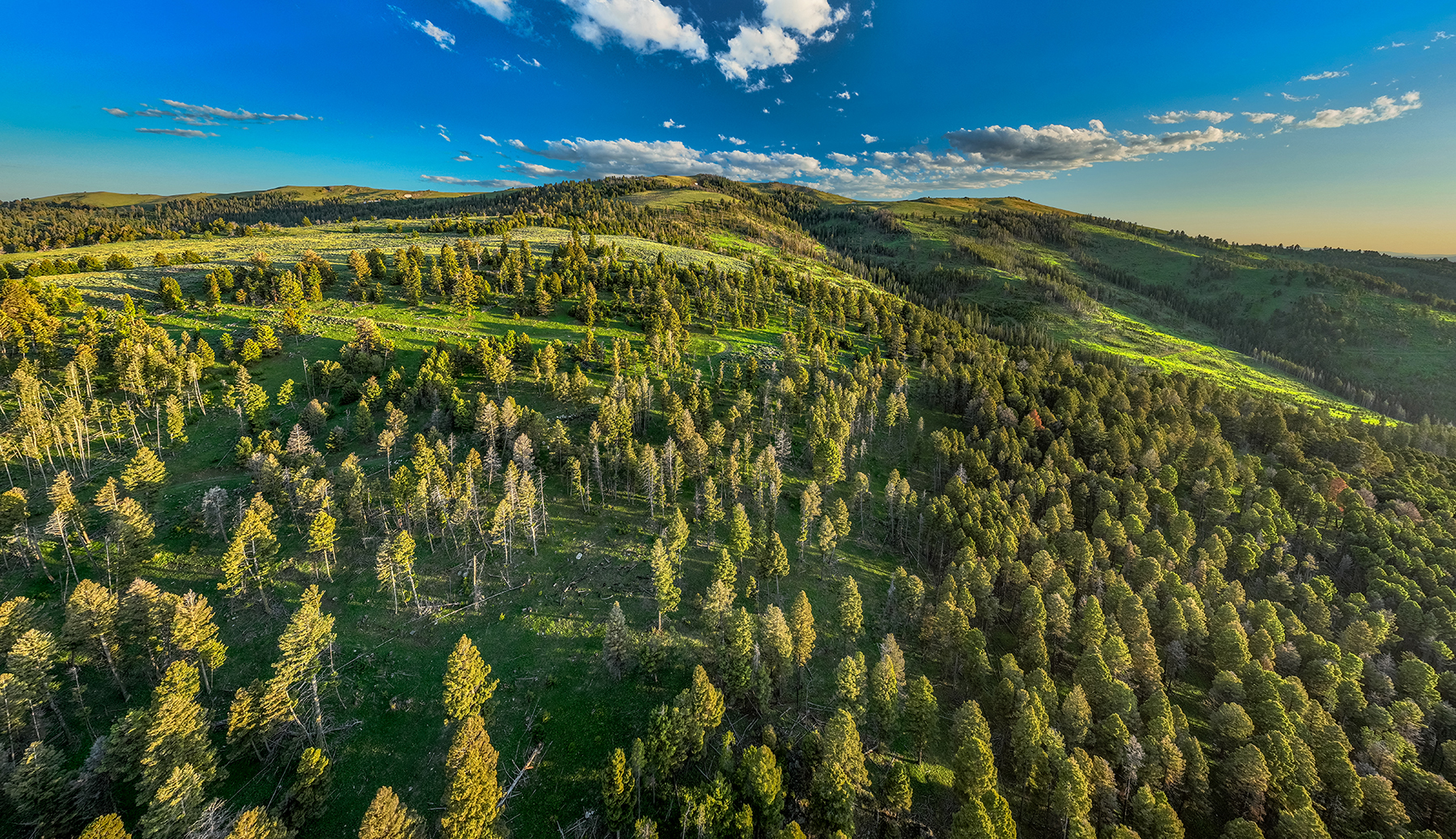 Carter Creek Ranch property picture 49 of 53