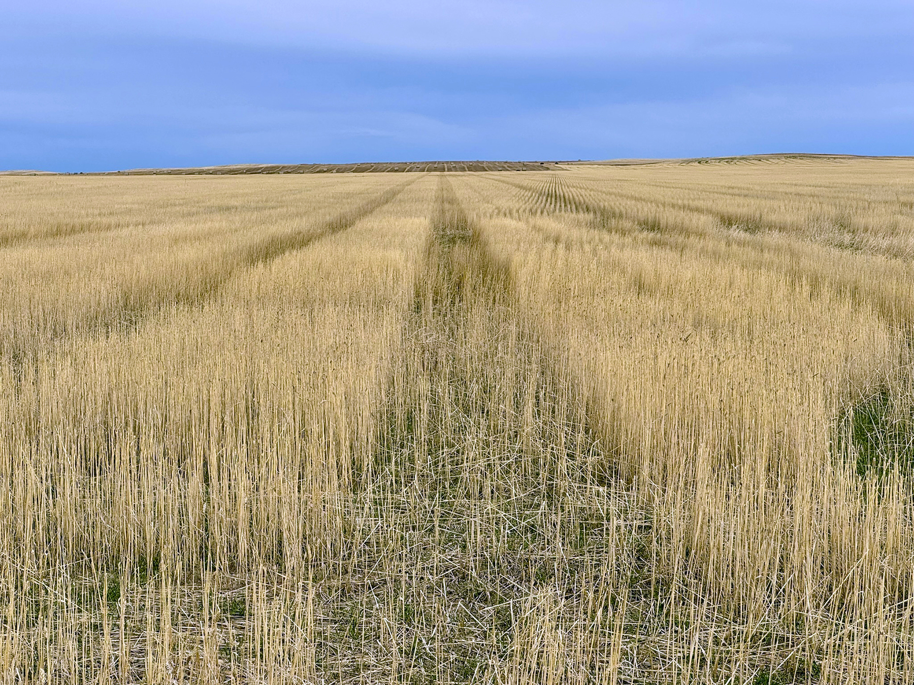 LoMac Farms property picture 4 of 24