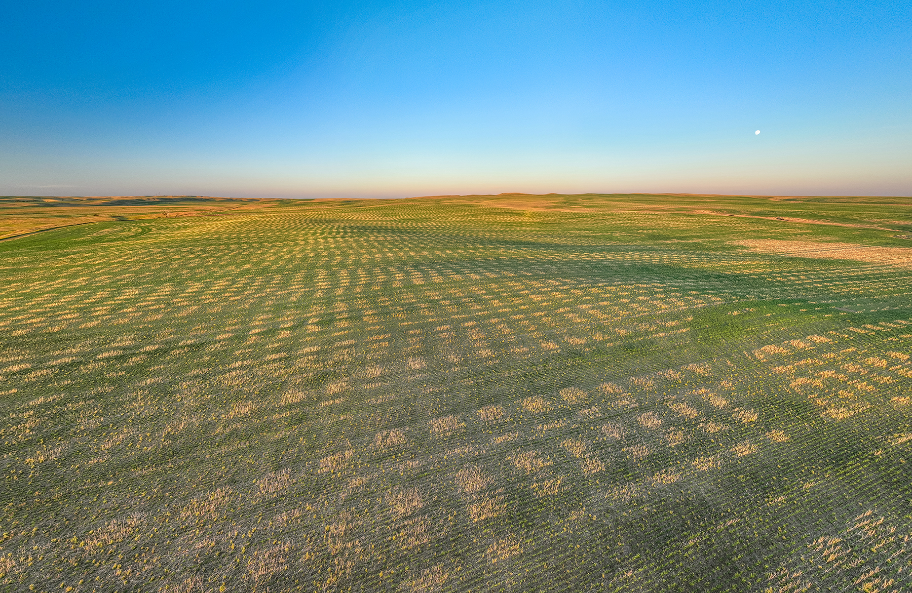LoMac Farms Box Elder Creek Tracts property picture 13 of 19