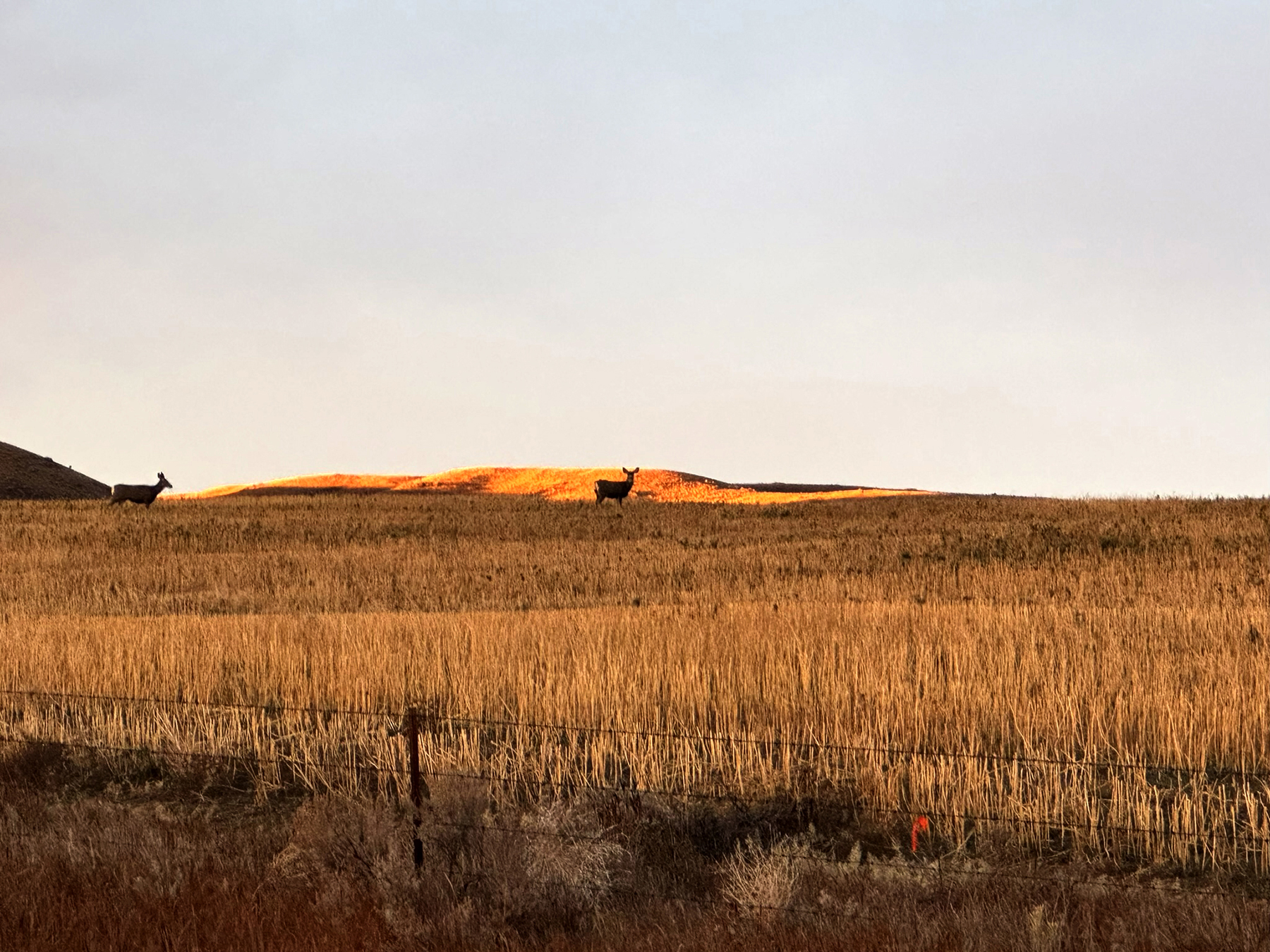 LoMac Farms property picture 17 of 24