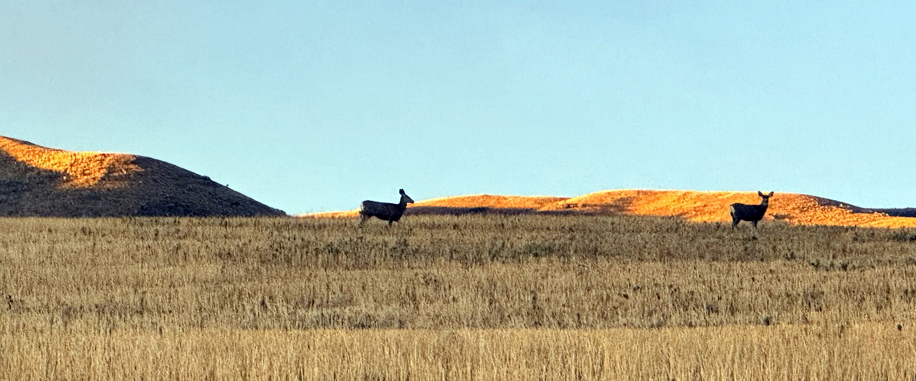 LoMac Farms property picture 23 of 24