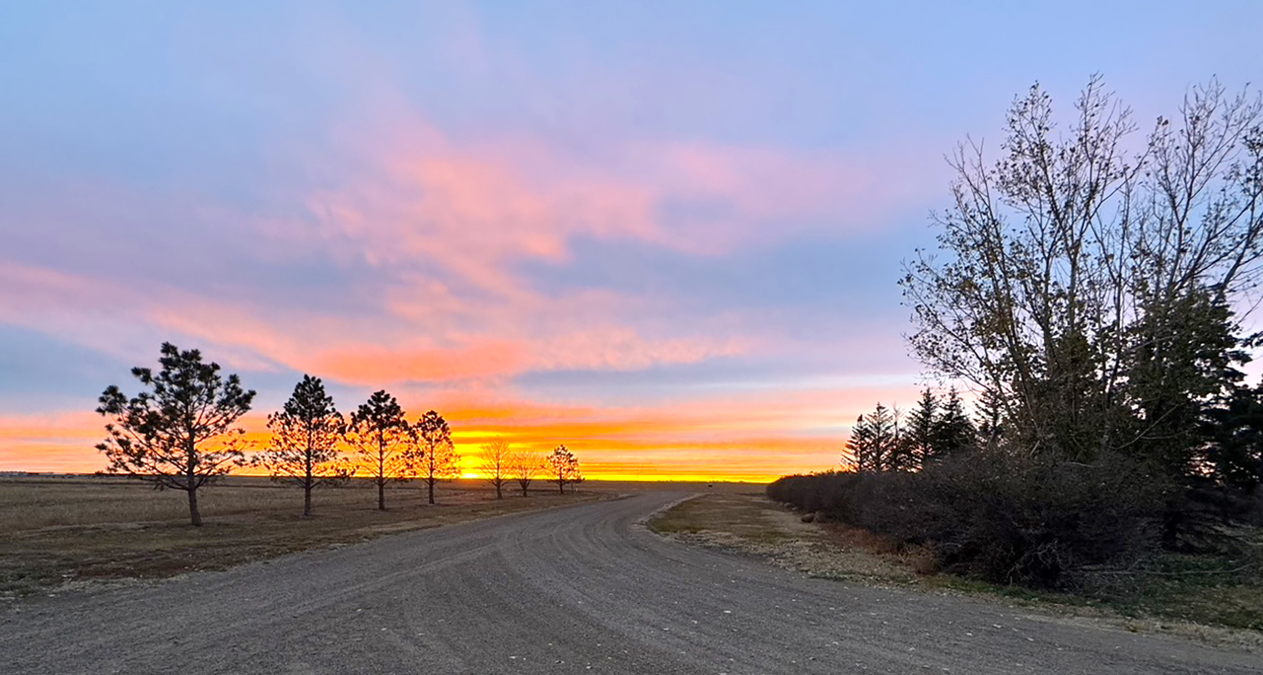 LoMac Farms property picture 5 of 24