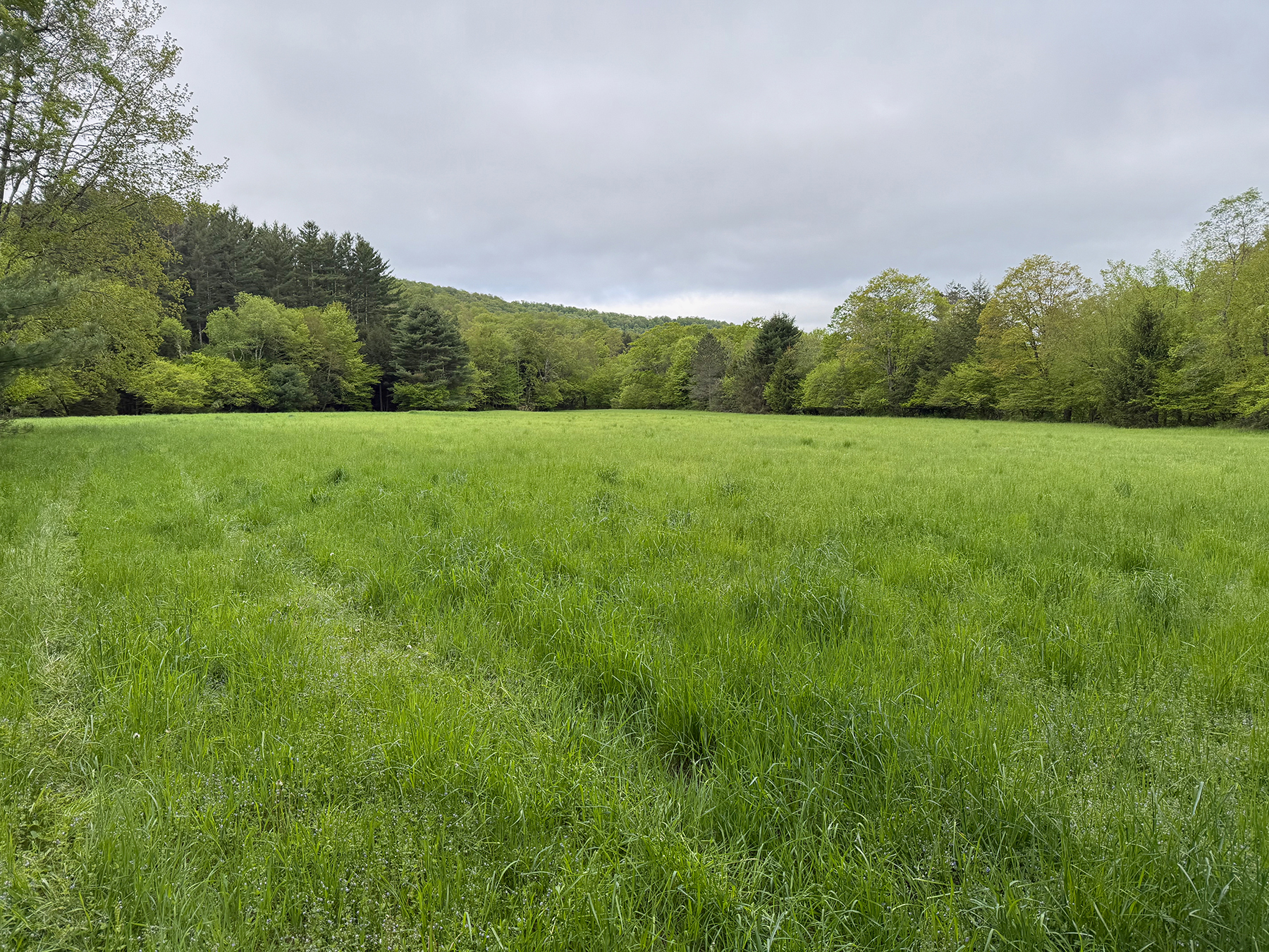 The Willo Preserve property picture 47 of 67