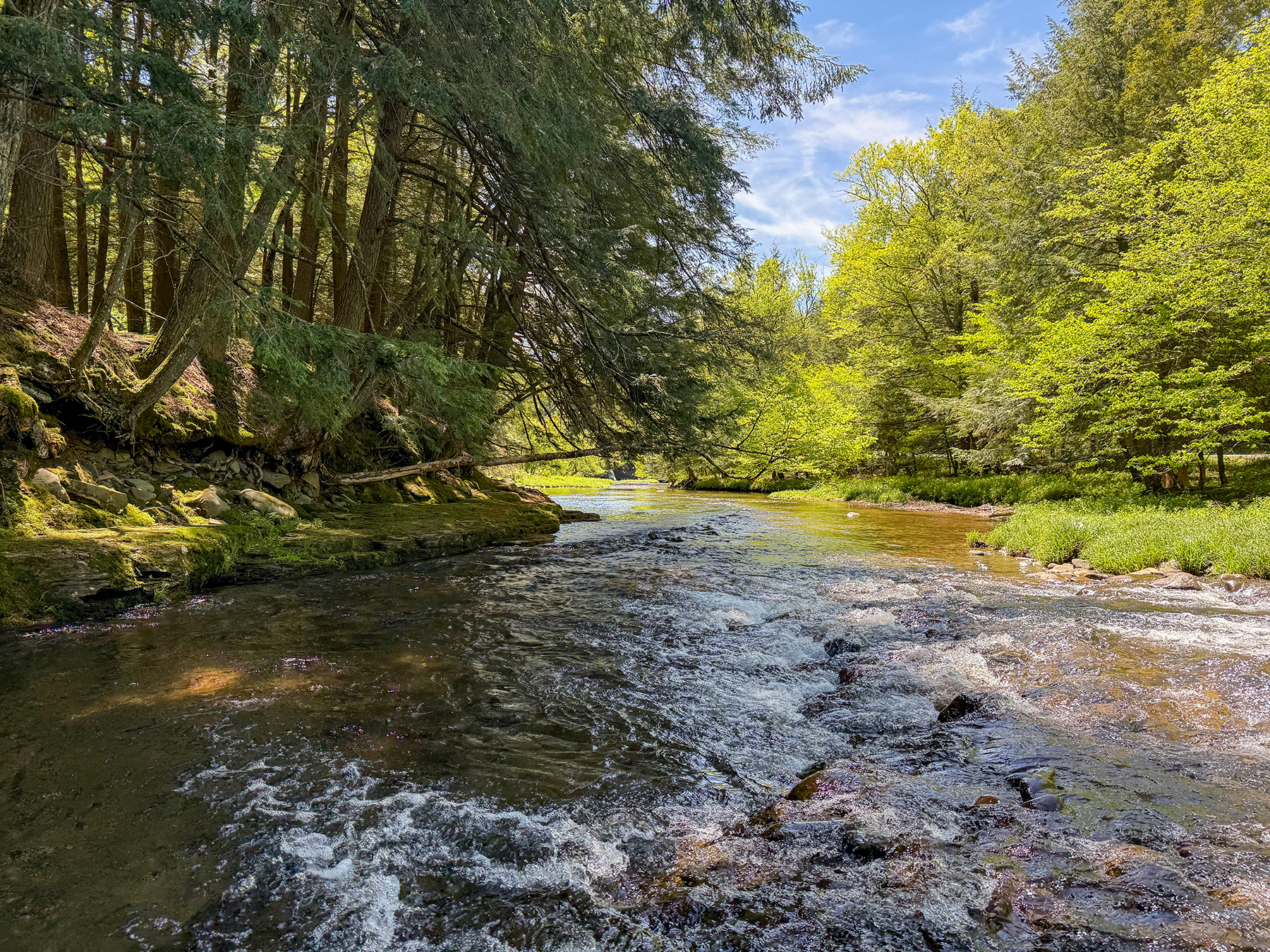 The Willo Preserve property picture 36 of 67