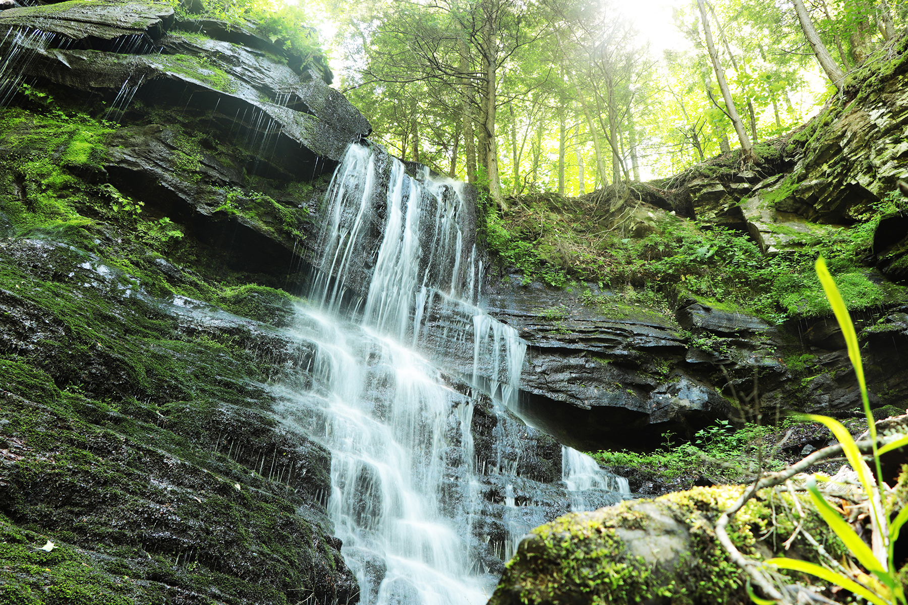 The Willo Preserve property picture 28 of 67