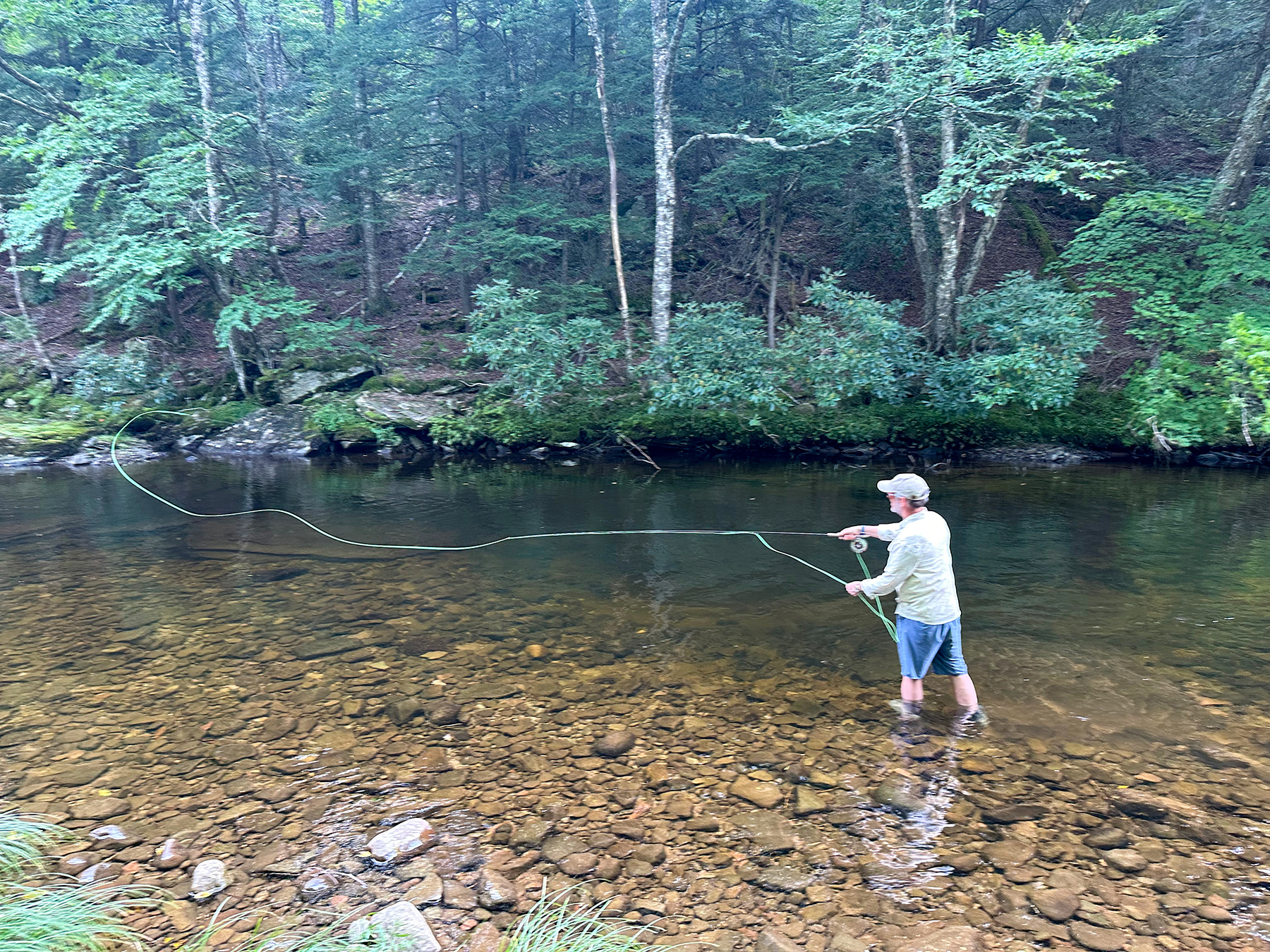 The Willo Preserve property picture 13 of 67