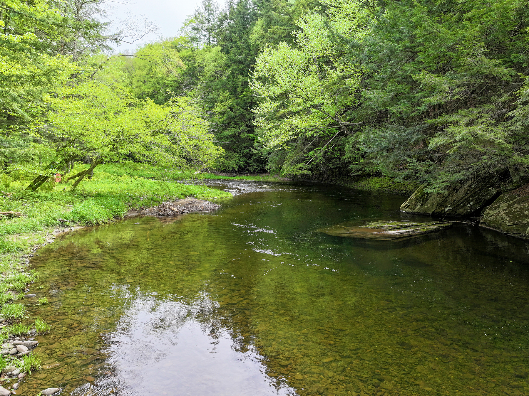 The Willo Preserve property picture 46 of 67