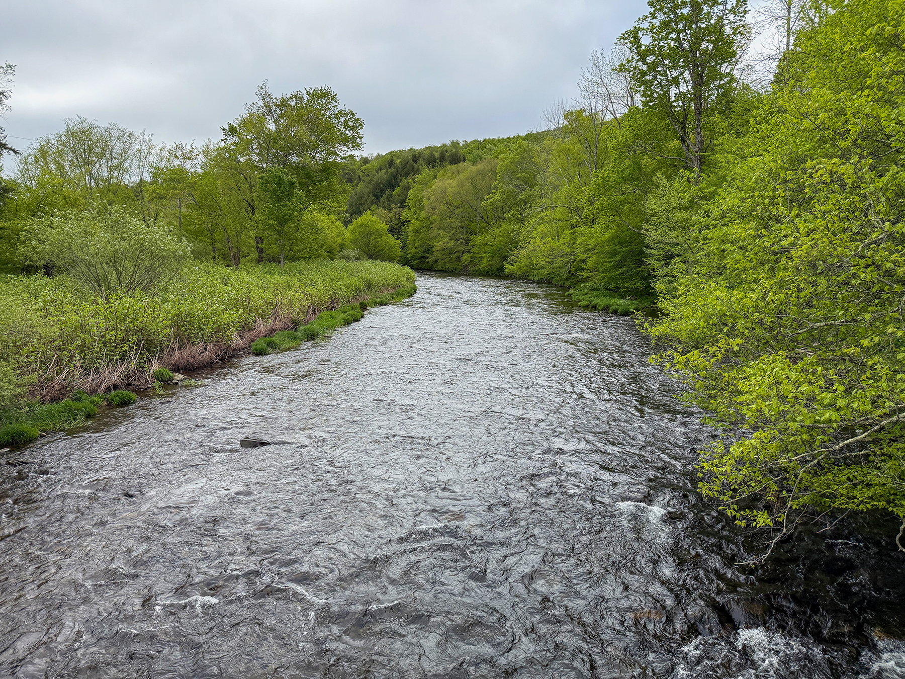 The Willo Preserve property picture 50 of 67