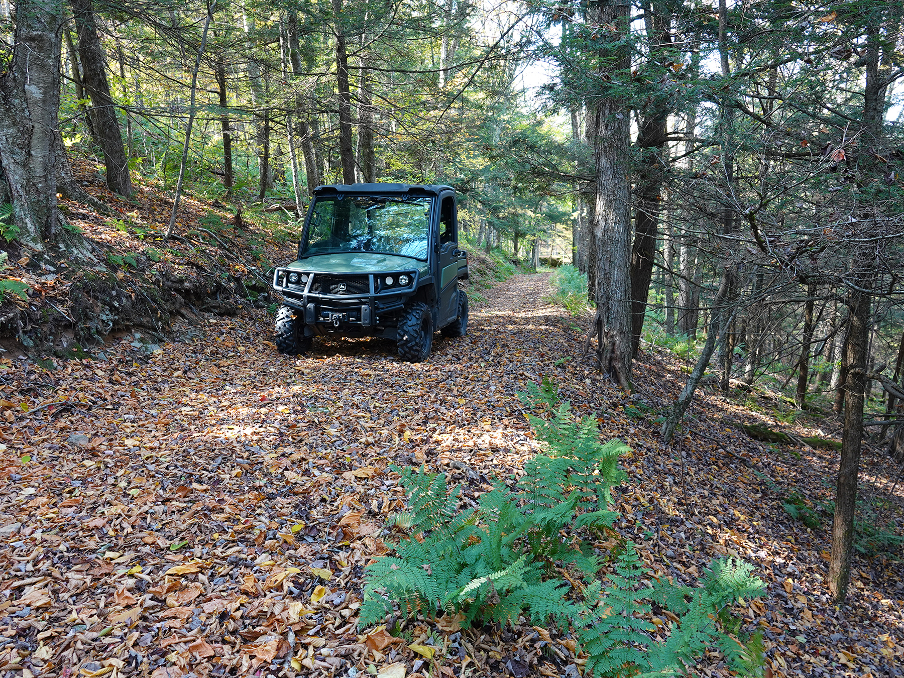 The Willo Preserve property picture 25 of 67
