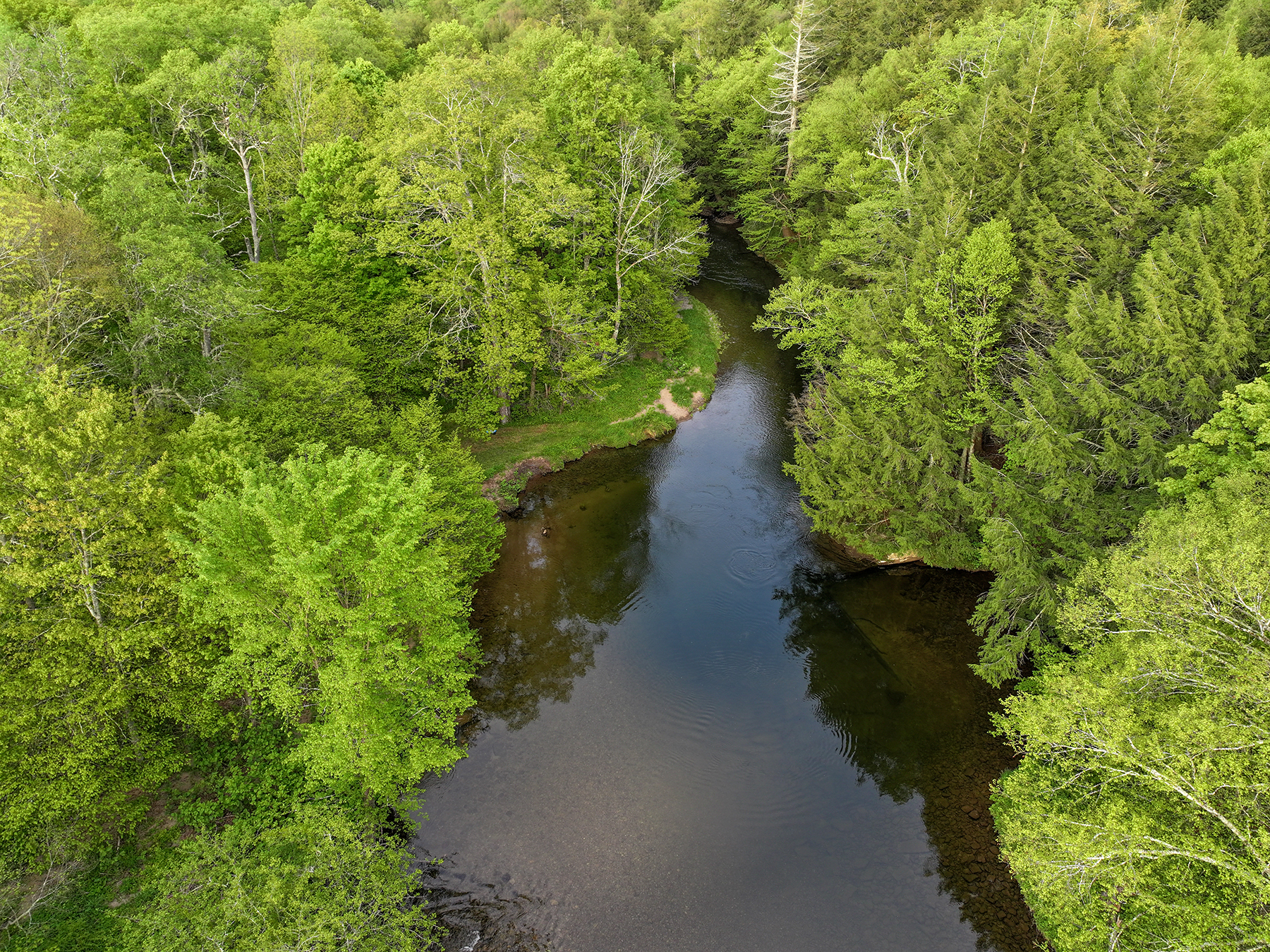 The Willo Preserve property picture 32 of 67