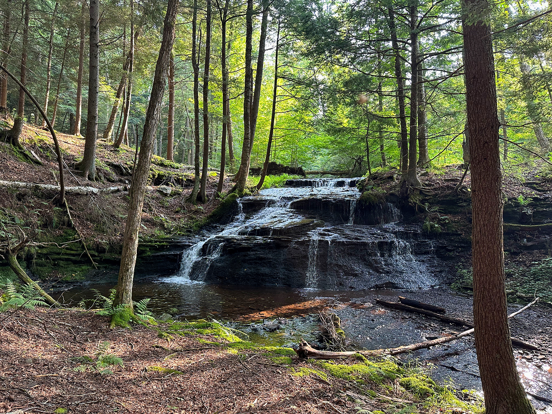 The Willo Preserve property picture 27 of 67