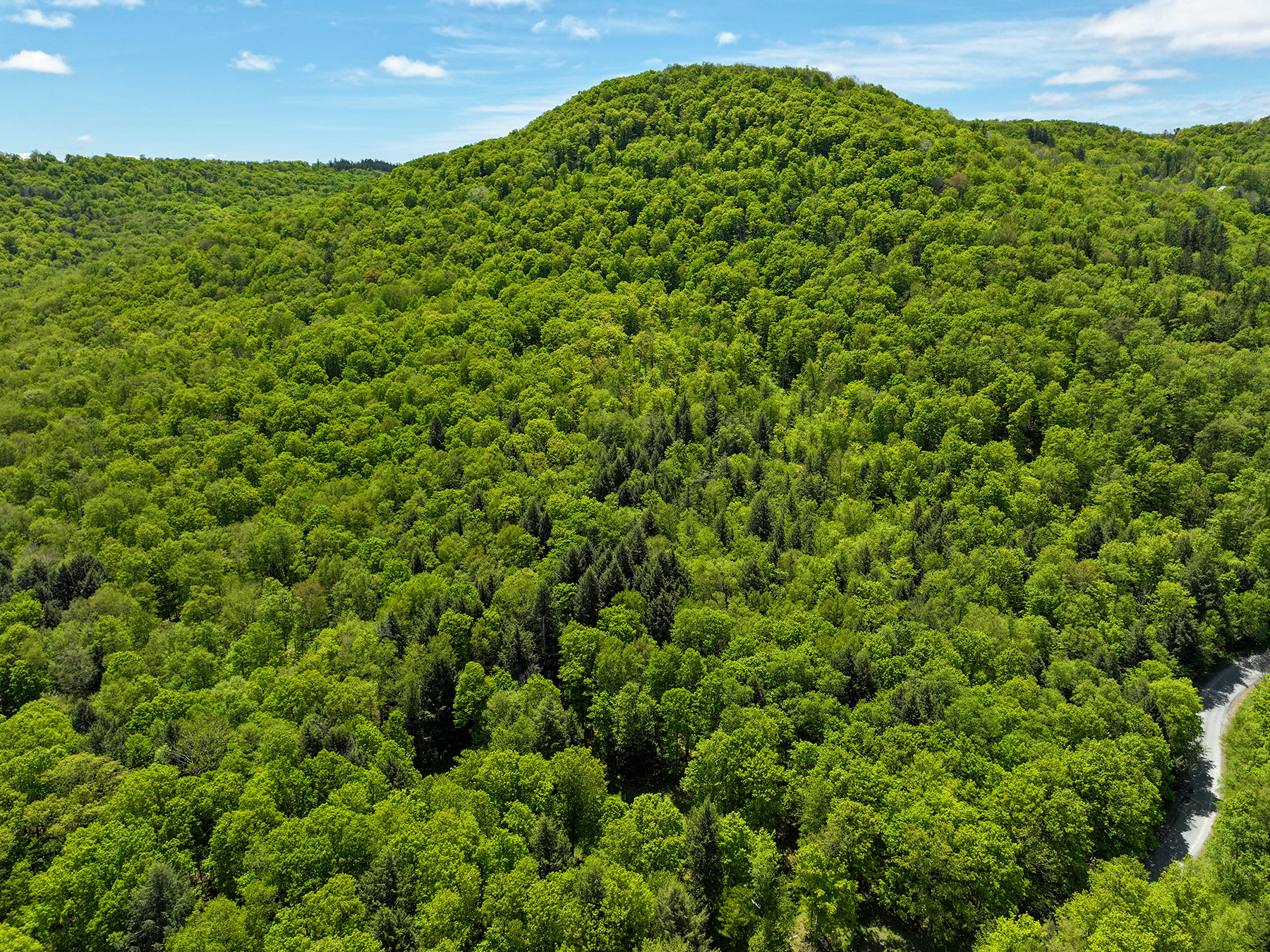 The Willo Preserve property picture 23 of 67