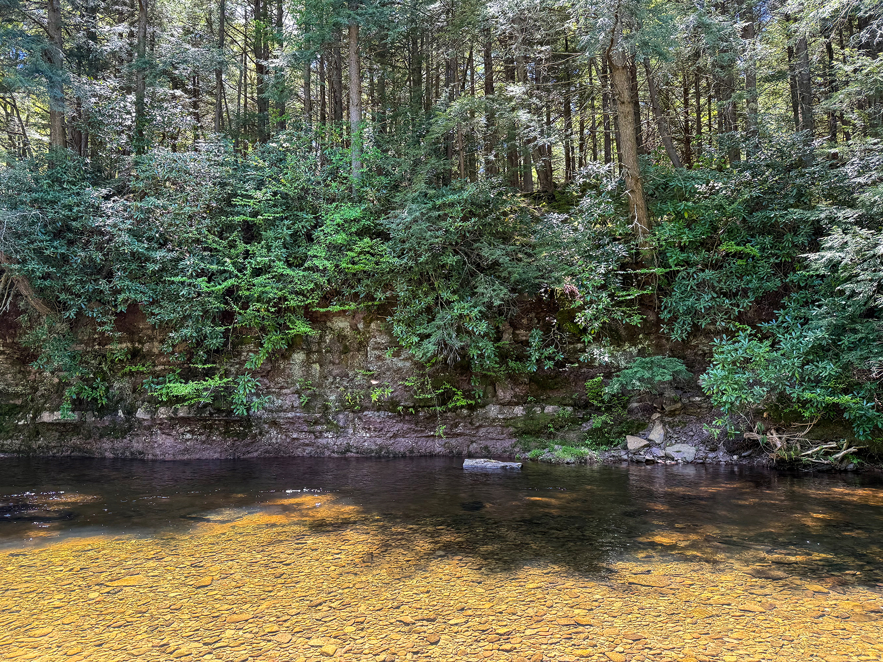 The Willo Preserve property picture 43 of 67