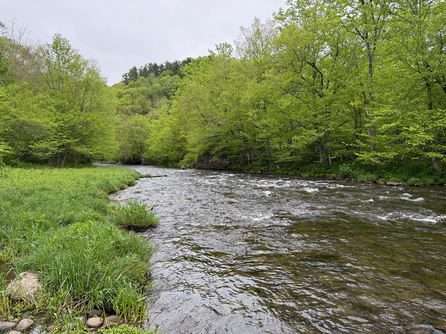 The Willo Preserve property picture 51 of 67