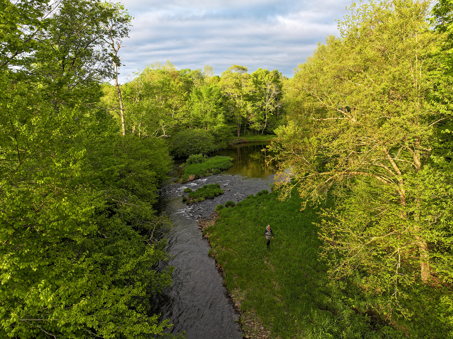 The Willo Preserve property picture 5 of 67