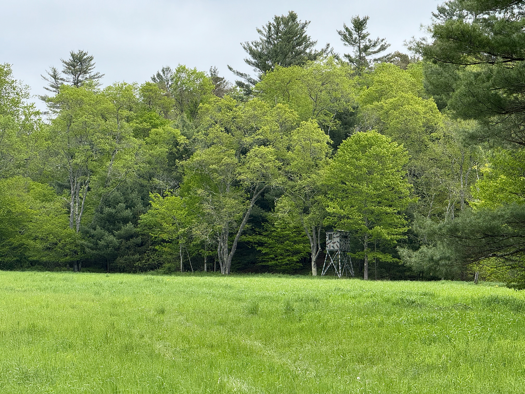 The Willo Preserve property picture 56 of 67