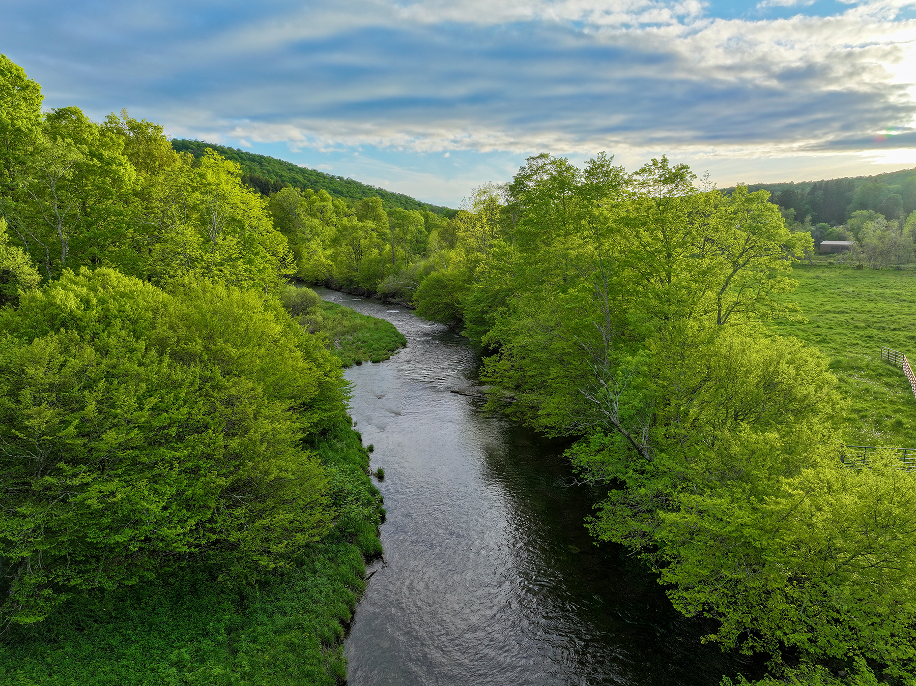 The Willo Preserve property picture 64 of 67
