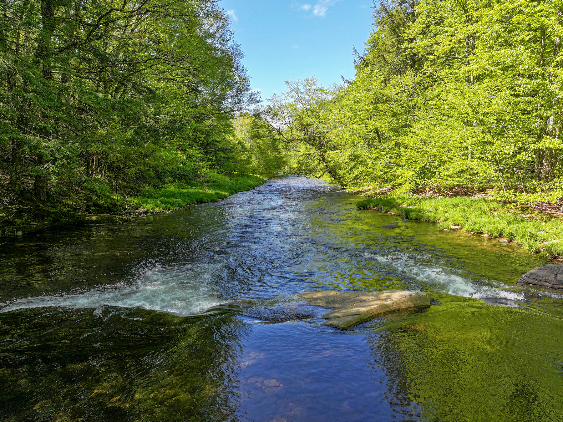 The Willo Preserve property picture 66 of 67