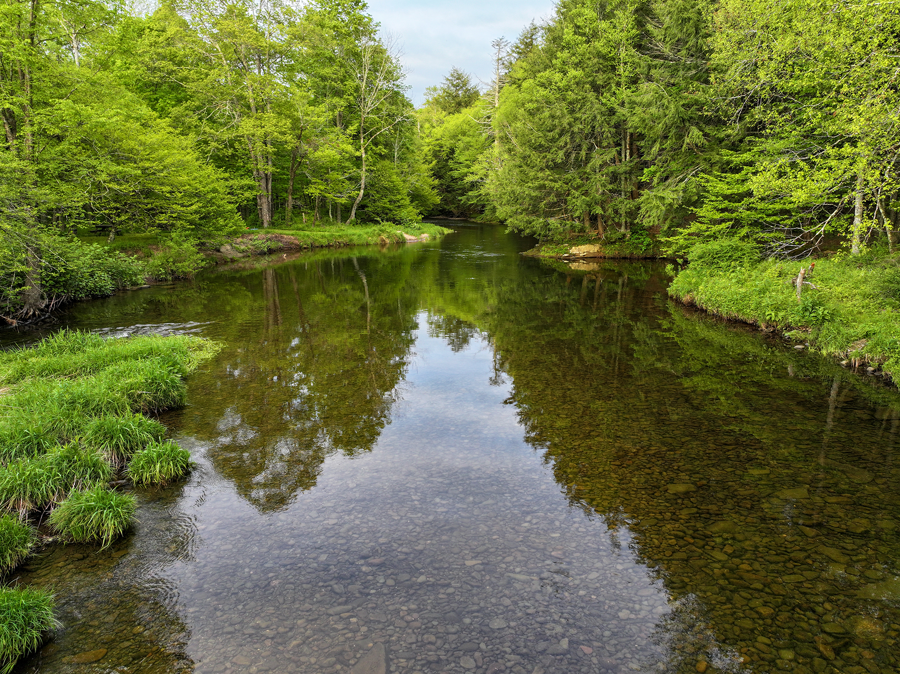 The Willo Preserve property picture 33 of 67