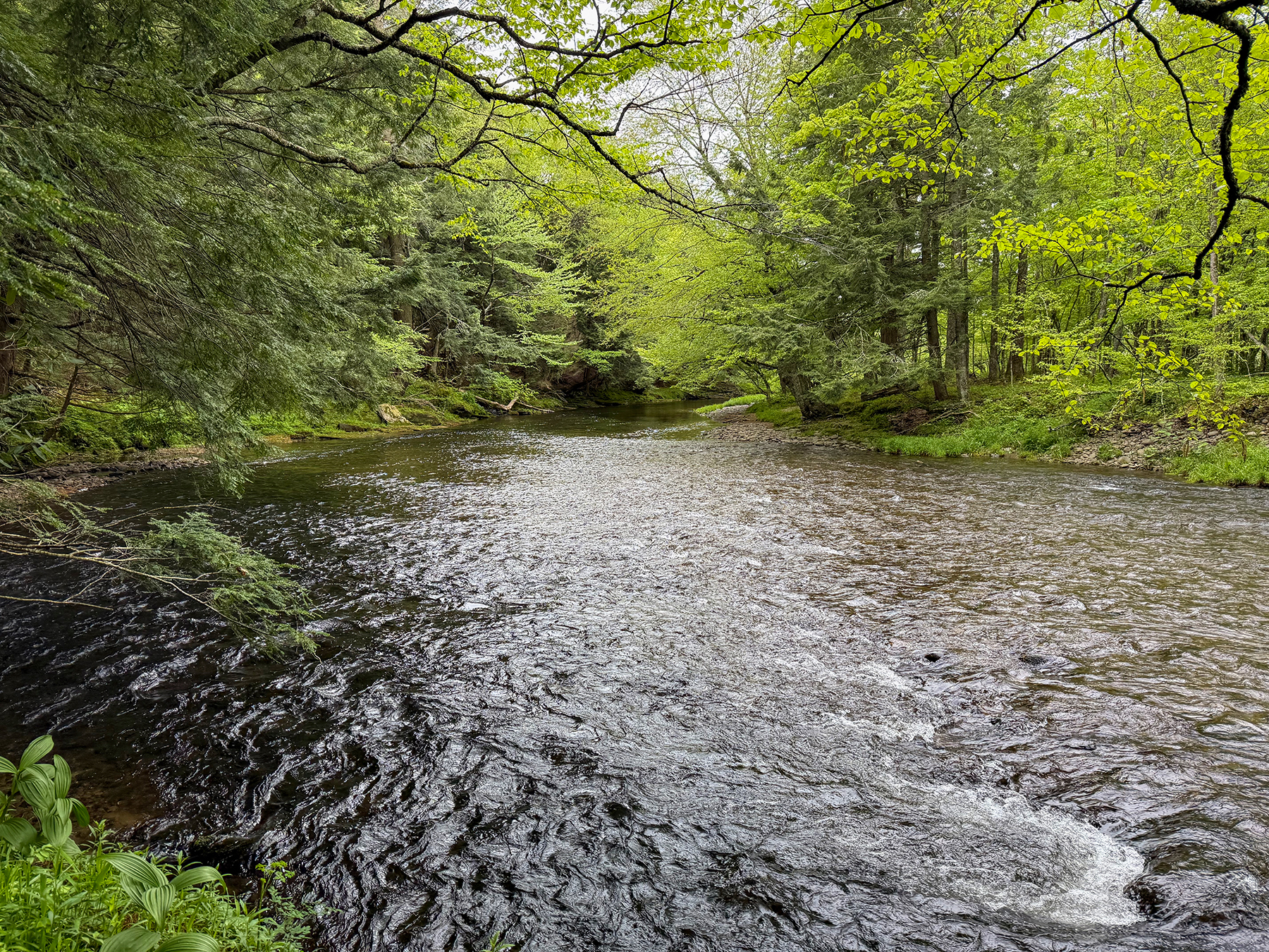 The Willo Preserve property picture 19 of 67