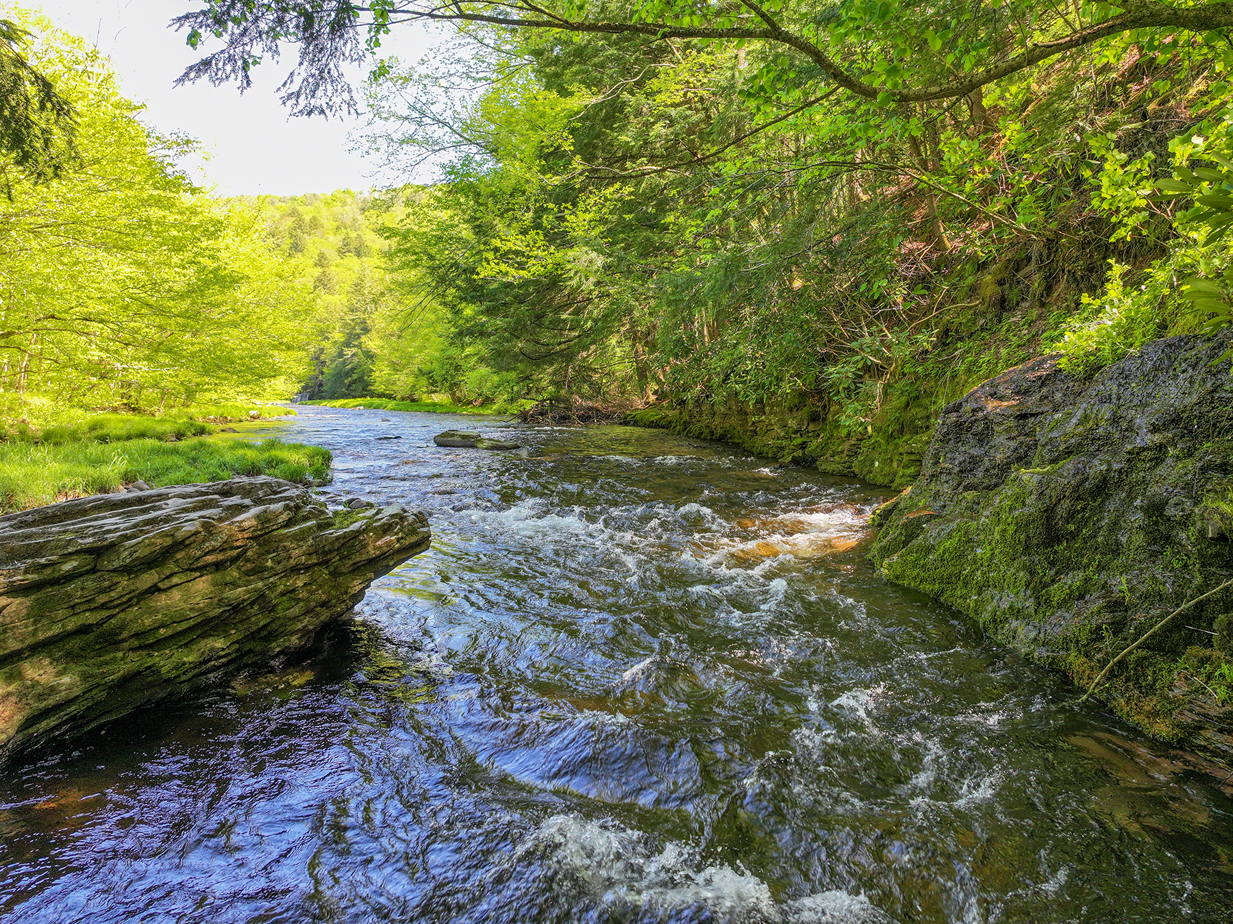 The Willo Preserve property picture 35 of 67