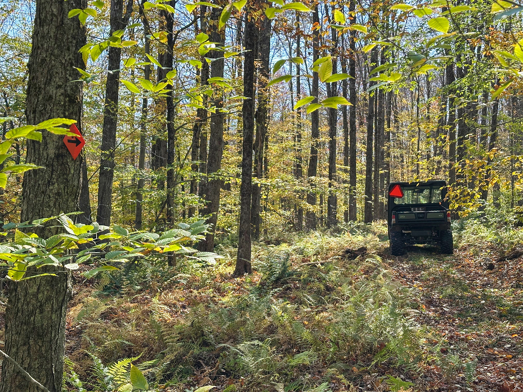 The Willo Preserve property picture 29 of 67