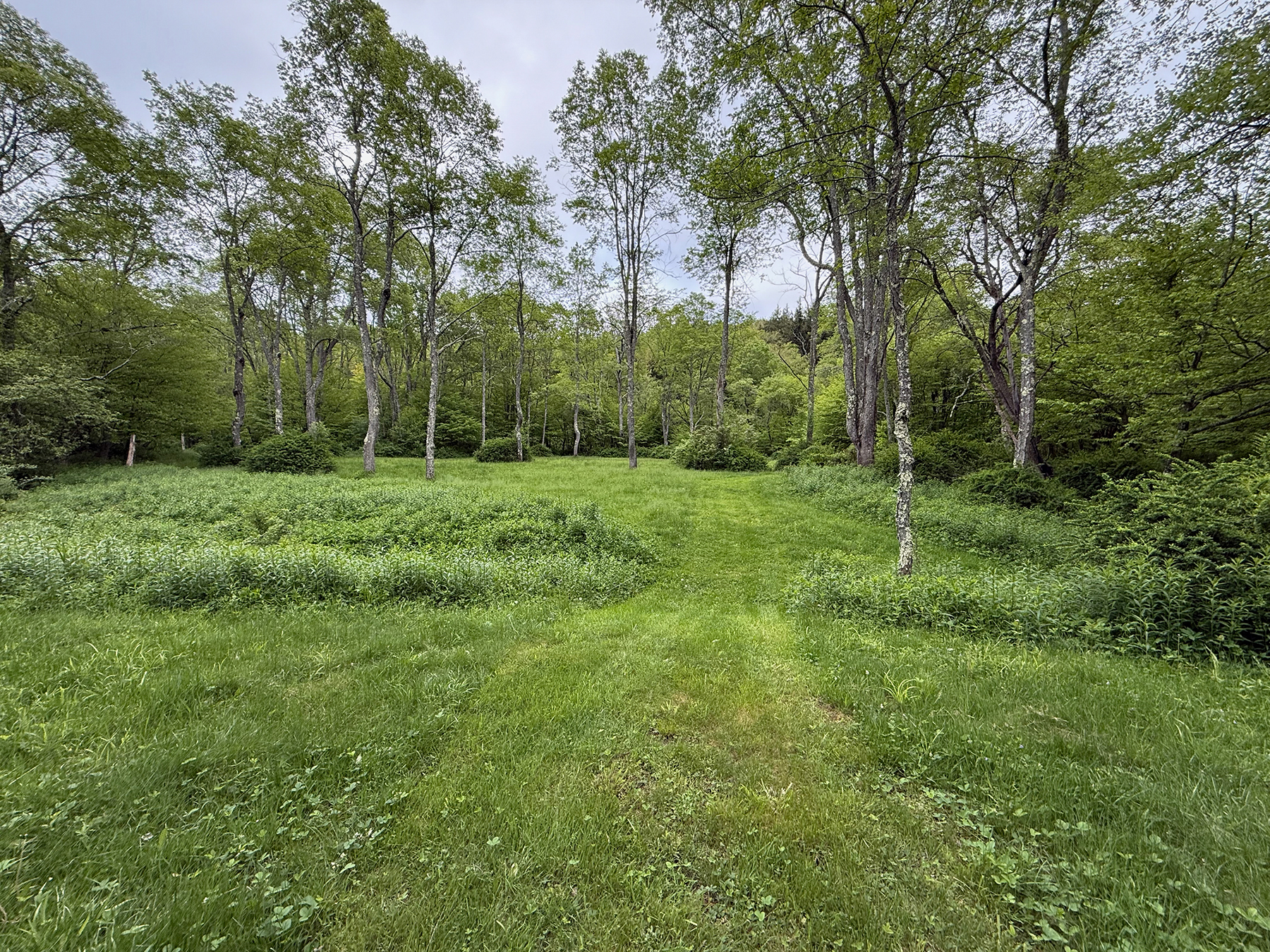 The Willo Preserve property picture 48 of 67