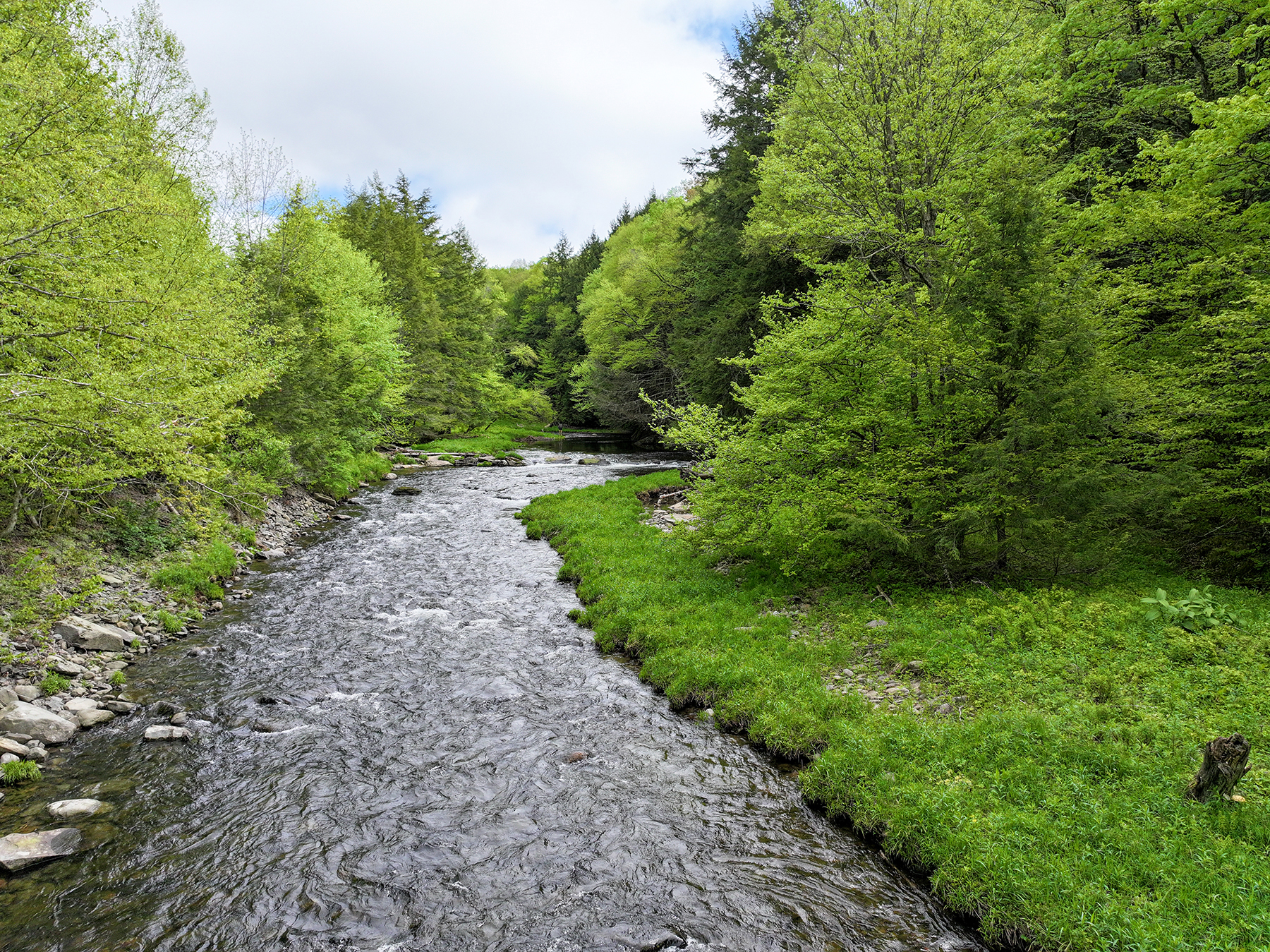 The Willo Preserve property picture 44 of 67