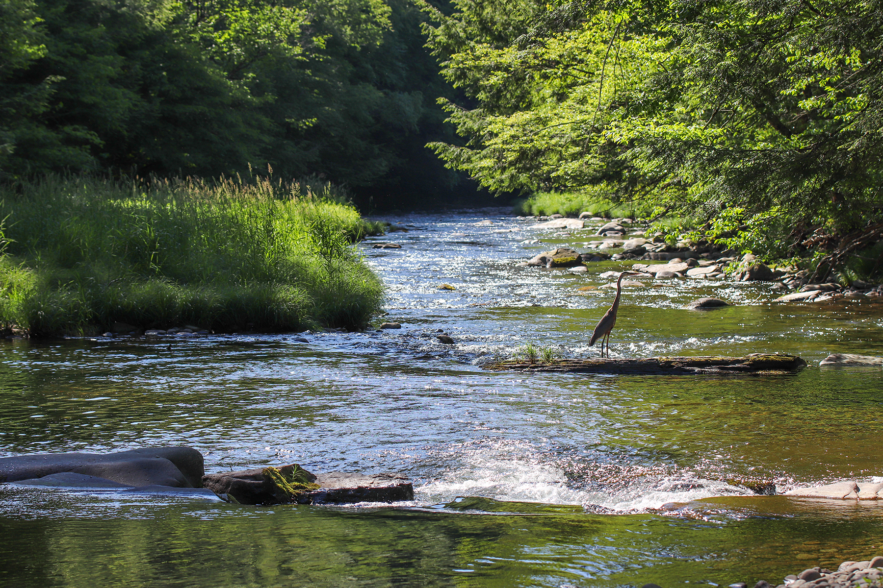The Willo Preserve property picture 60 of 67