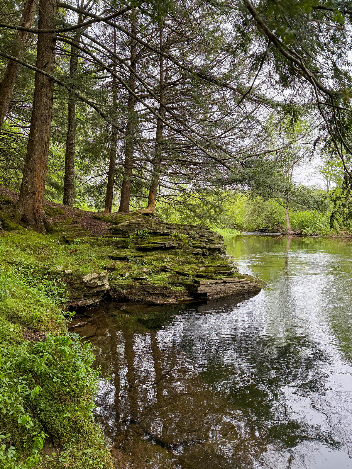 The Willo Preserve property picture 18 of 67