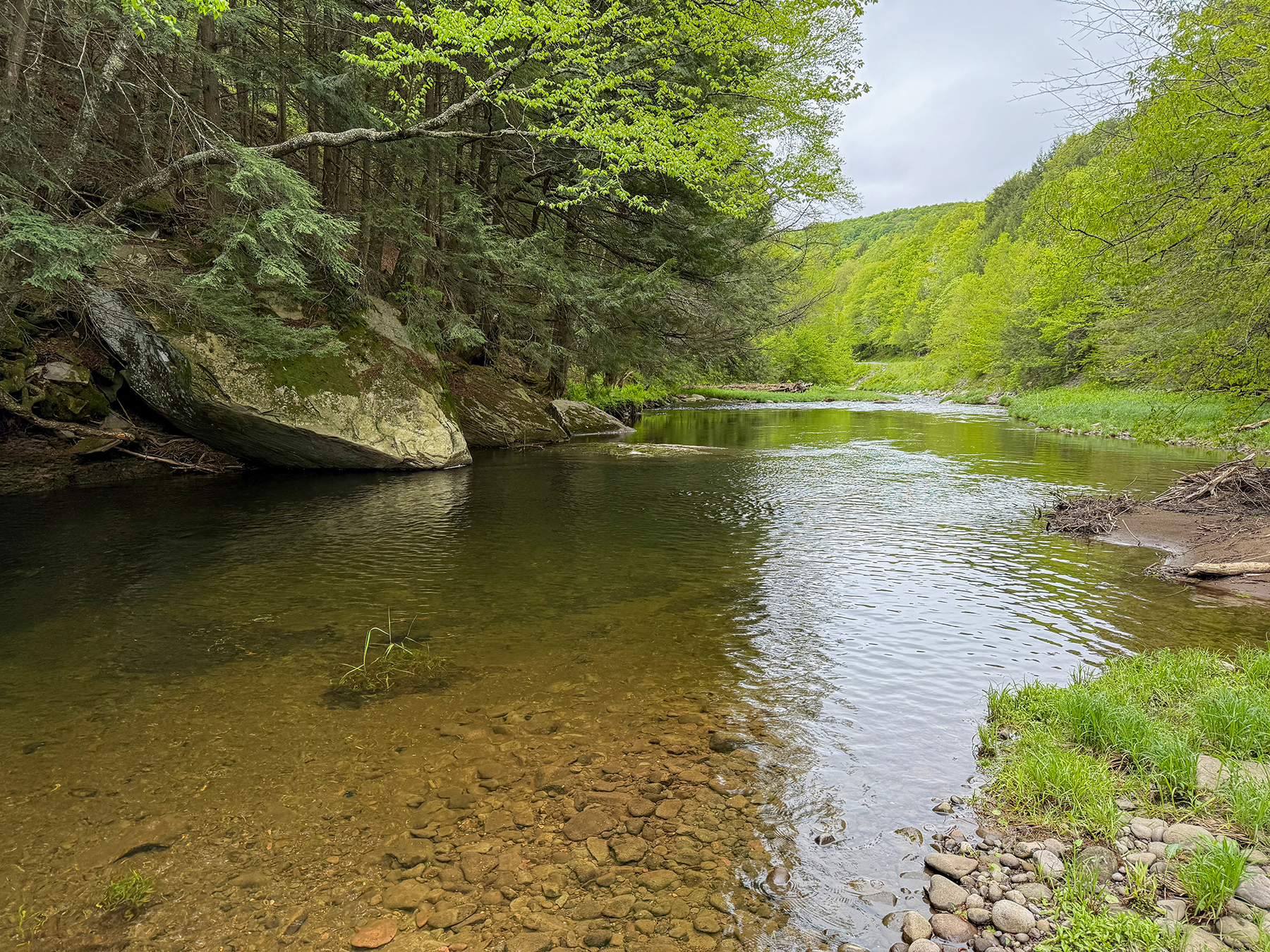 The Willo Preserve property picture 45 of 67