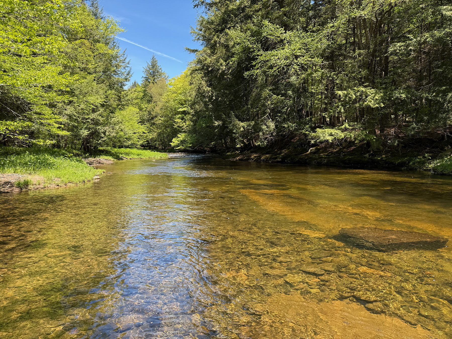 The Willo Preserve property picture 38 of 67