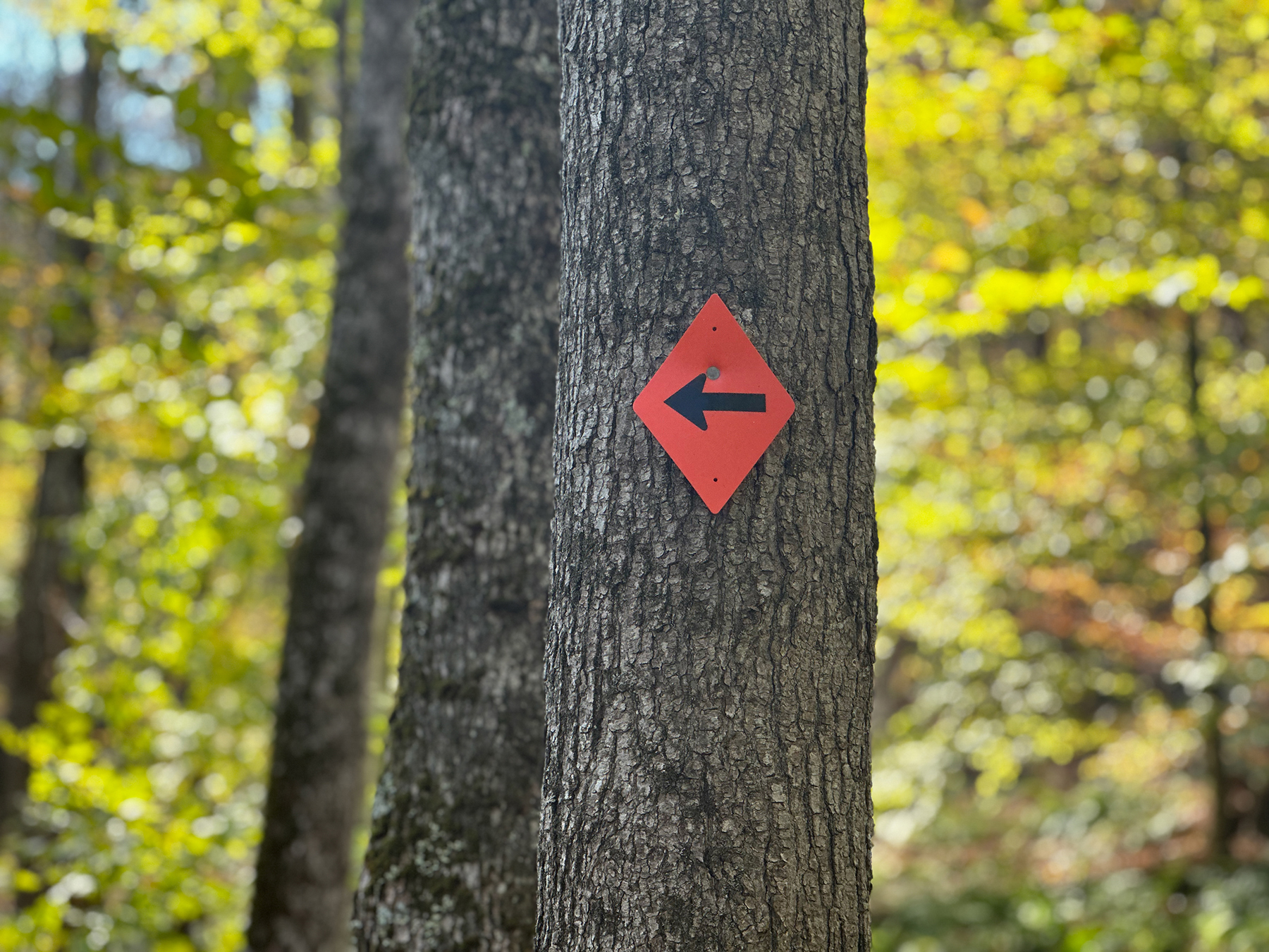 The Willo Preserve property picture 26 of 67