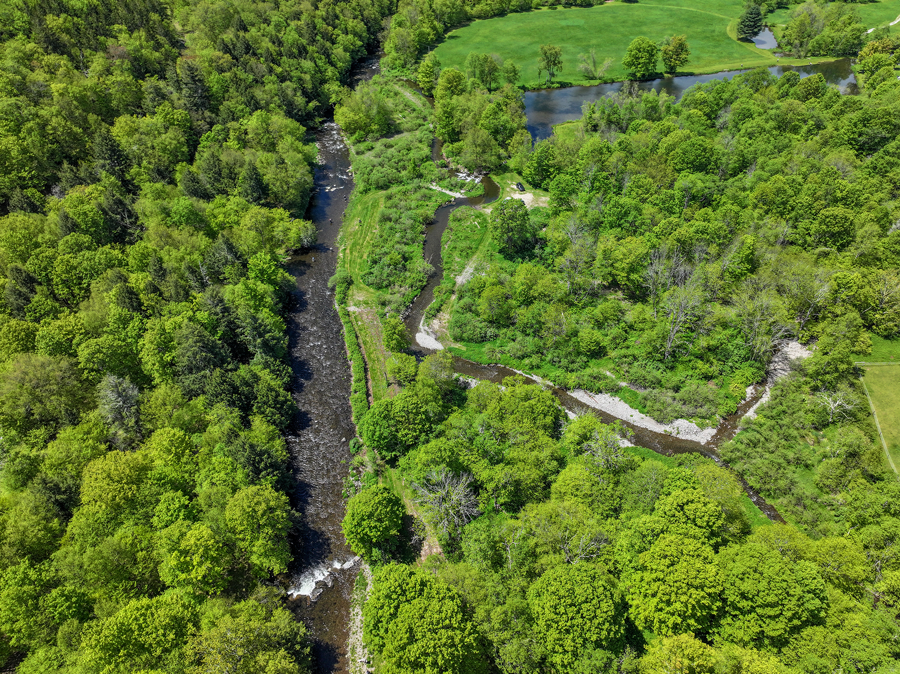 The Willo Preserve property picture 22 of 67