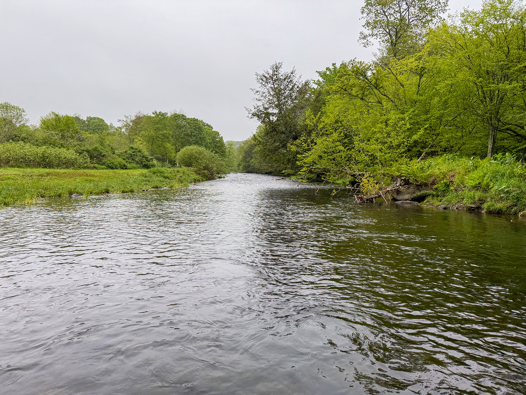 The Willo Preserve property picture 16 of 67