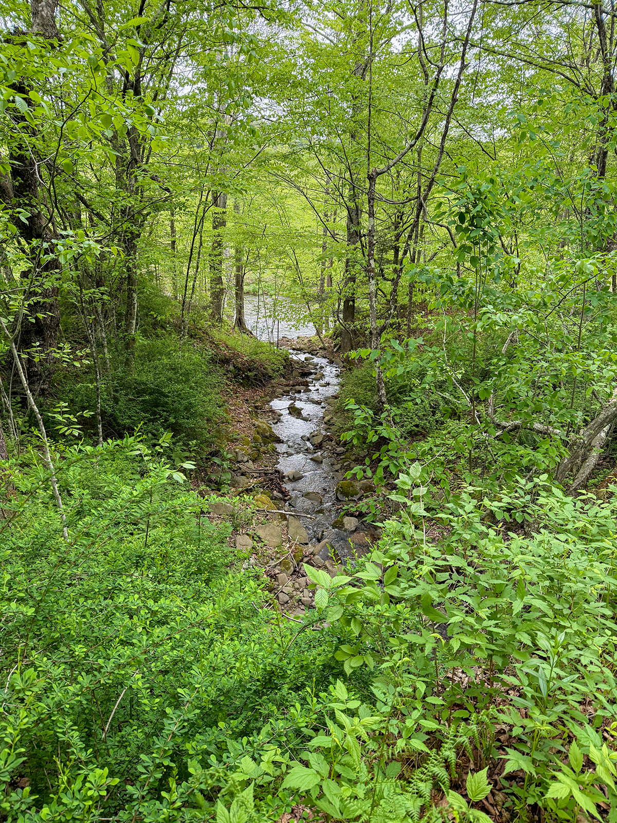 The Willo Preserve property picture 30 of 67