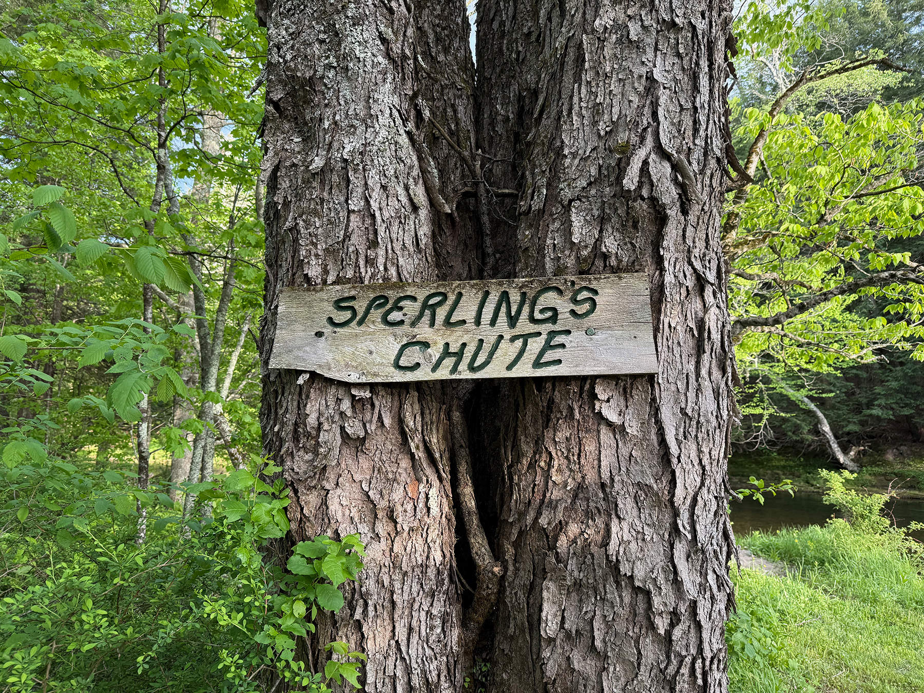 The Willo Preserve property picture 31 of 67