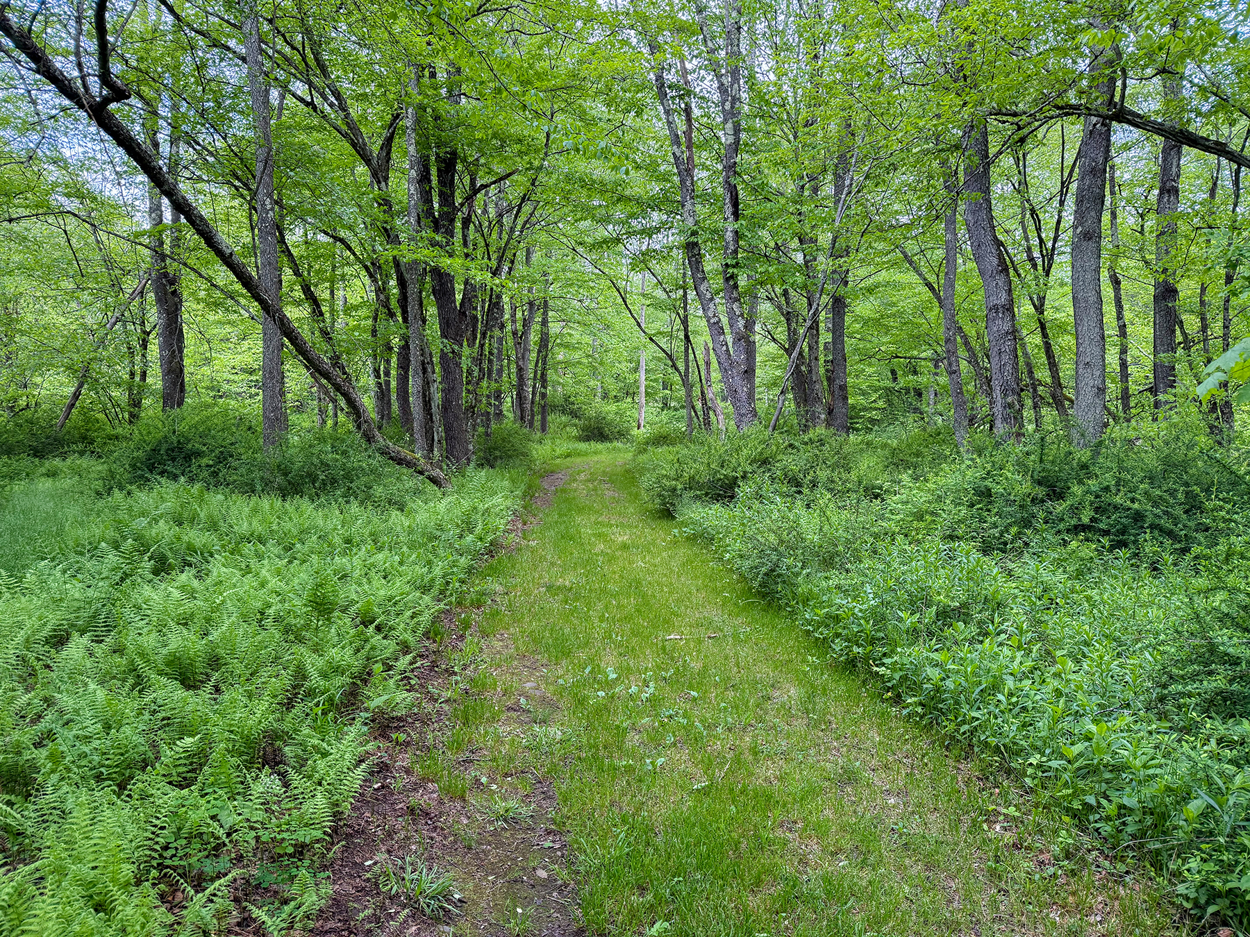 The Willo Preserve property picture 49 of 67