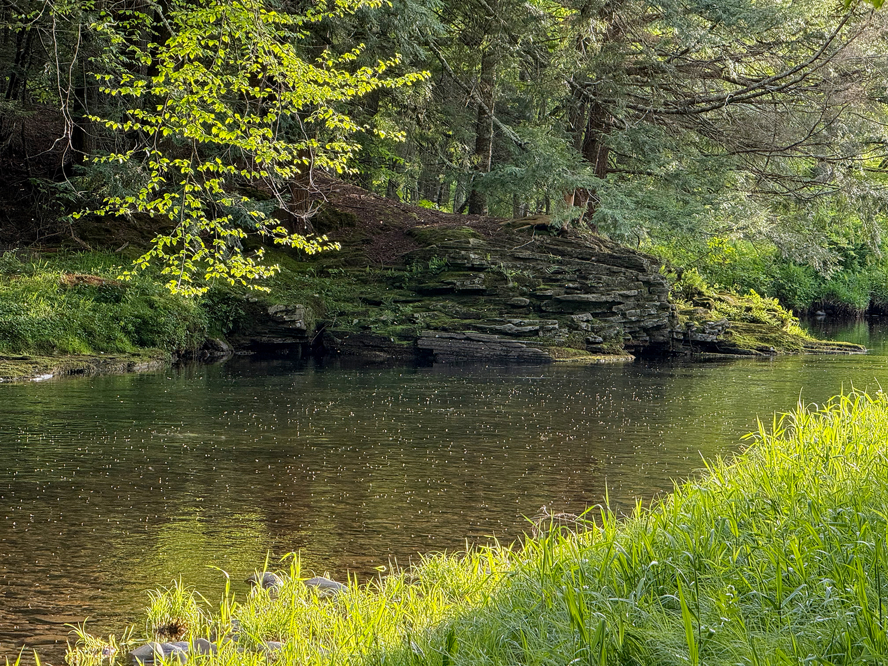 The Willo Preserve property picture 11 of 67