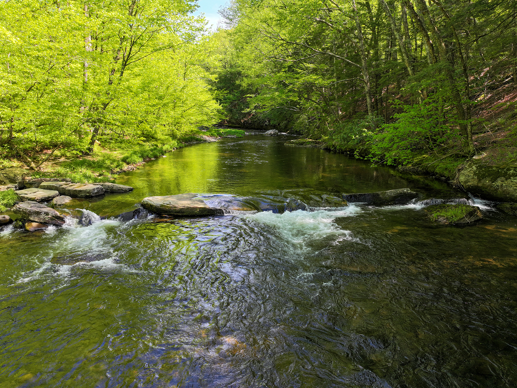 The Willo Preserve property picture 3 of 67