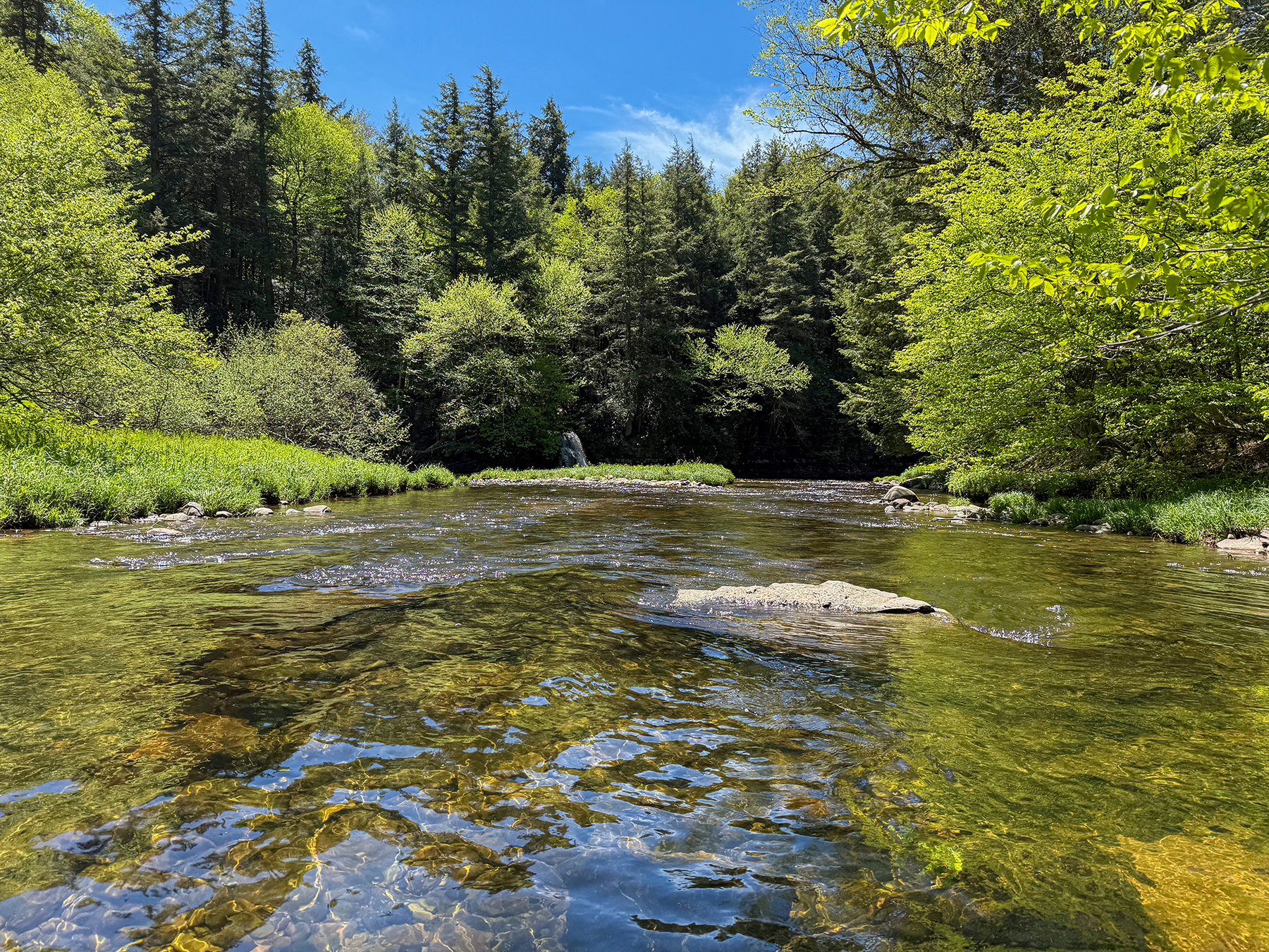 The Willo Preserve property picture 39 of 67