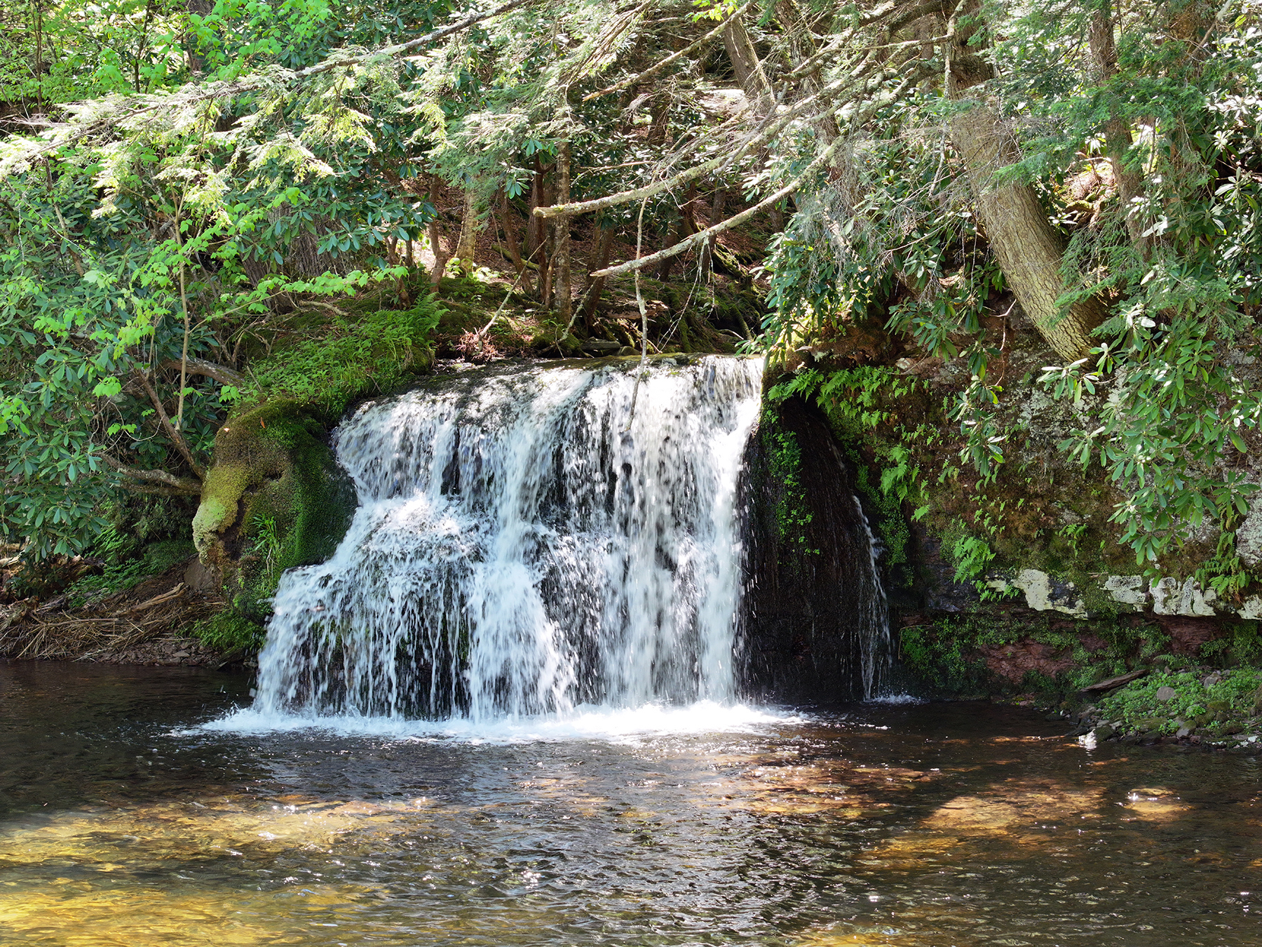 The Willo Preserve property picture 41 of 67