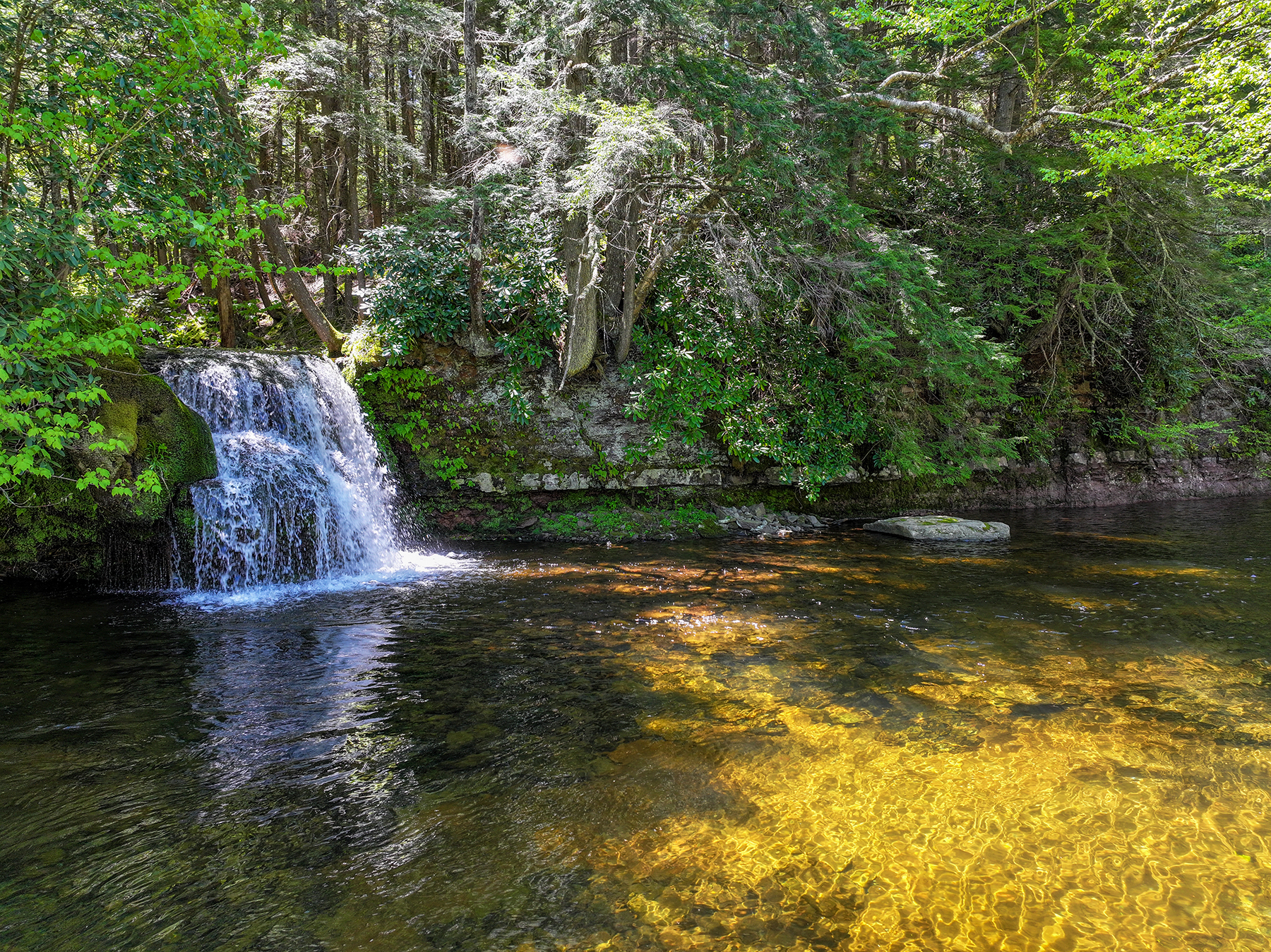 The Willo Preserve property picture 4 of 67
