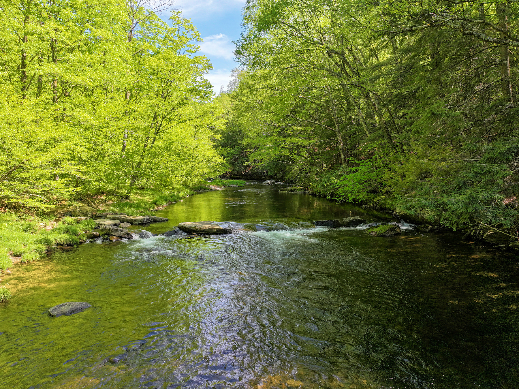 The Willo Preserve property picture 67 of 67