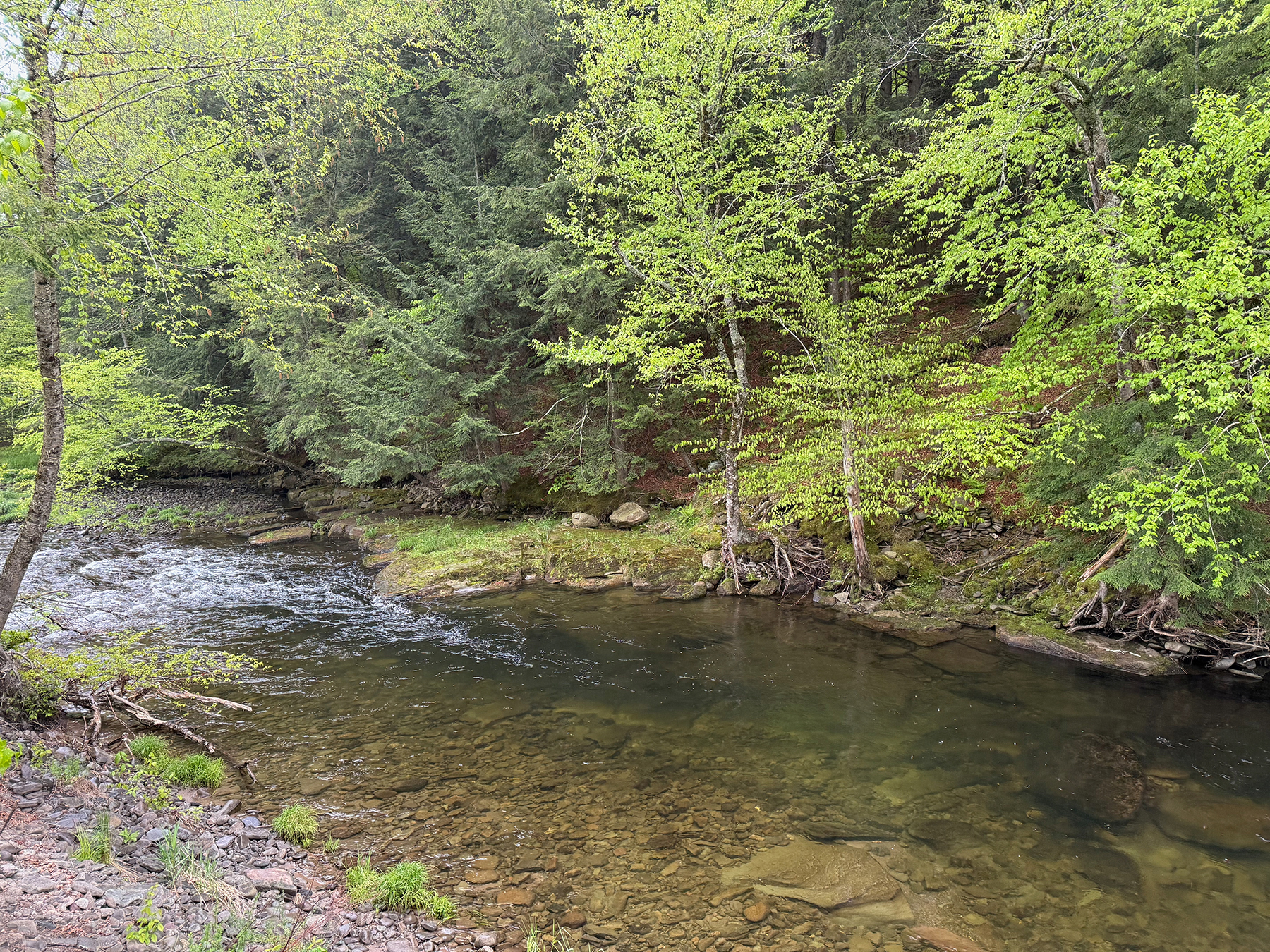 The Willo Preserve property picture 17 of 67